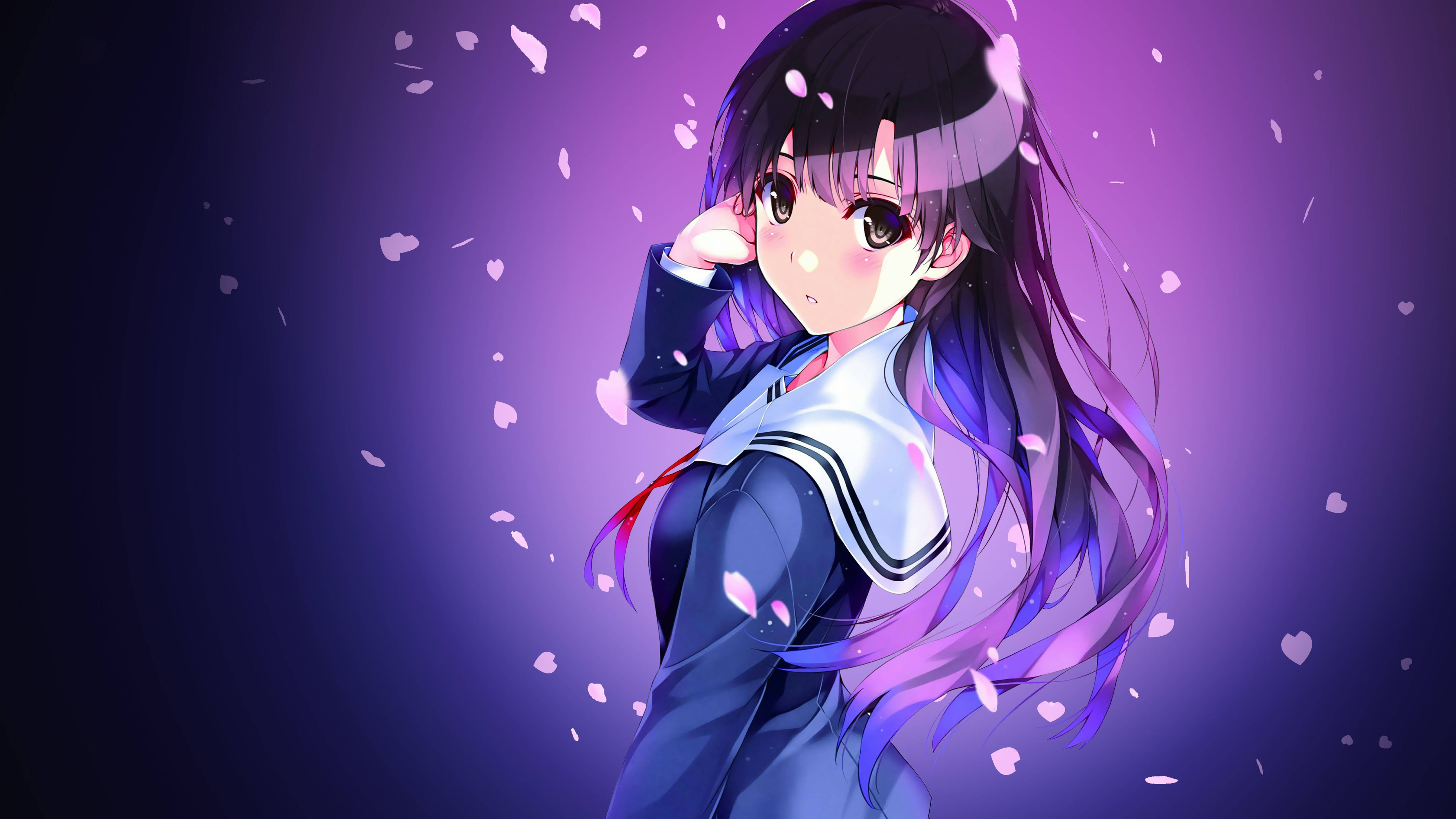 4k Pfp Wallpaper