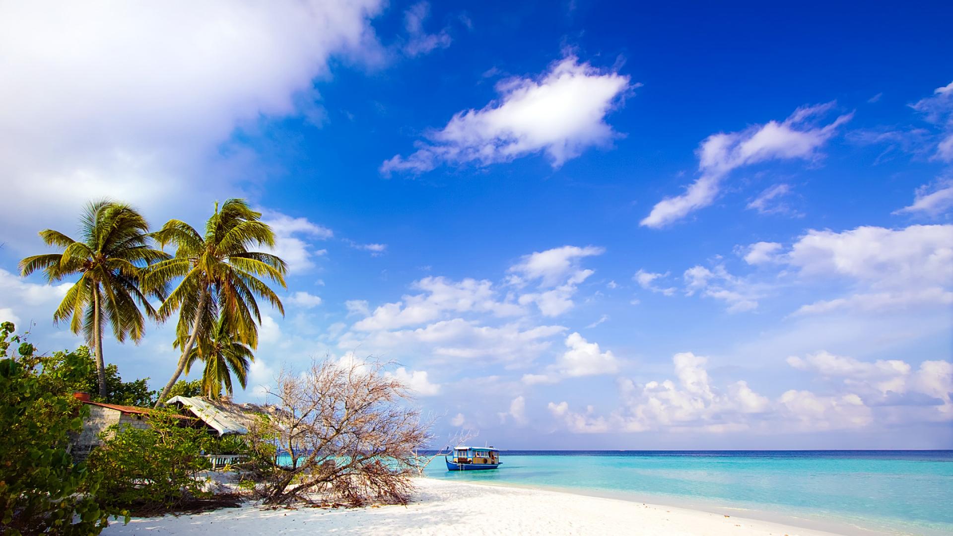 Download wallpaper 2560x1440 beach ocean sand palm trees bungalows widescreen  169 hd background
