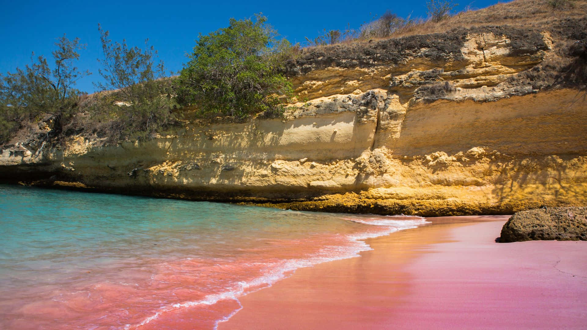 Pink Beach Wallpaper