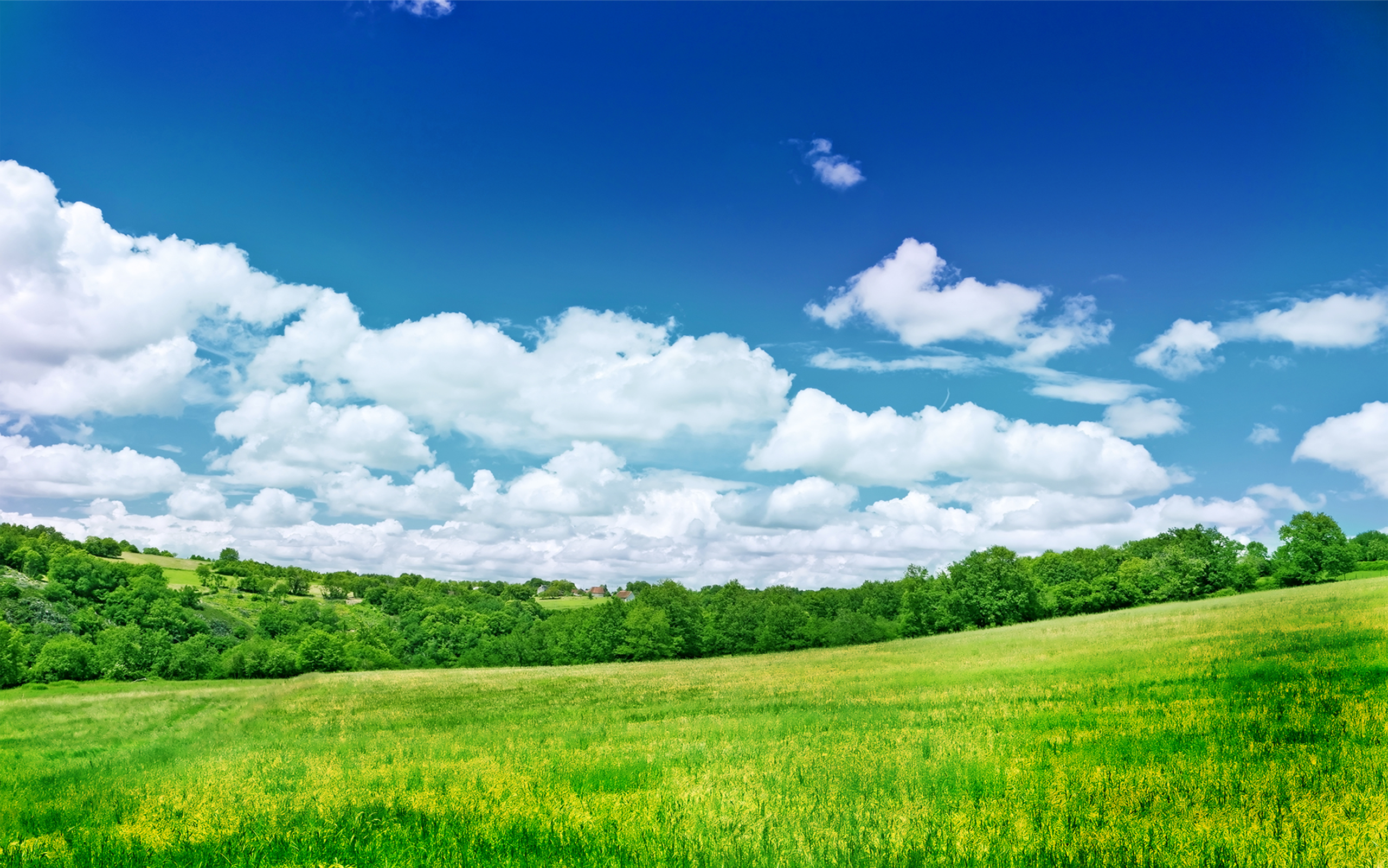 Beautiful Nature Wallpaper