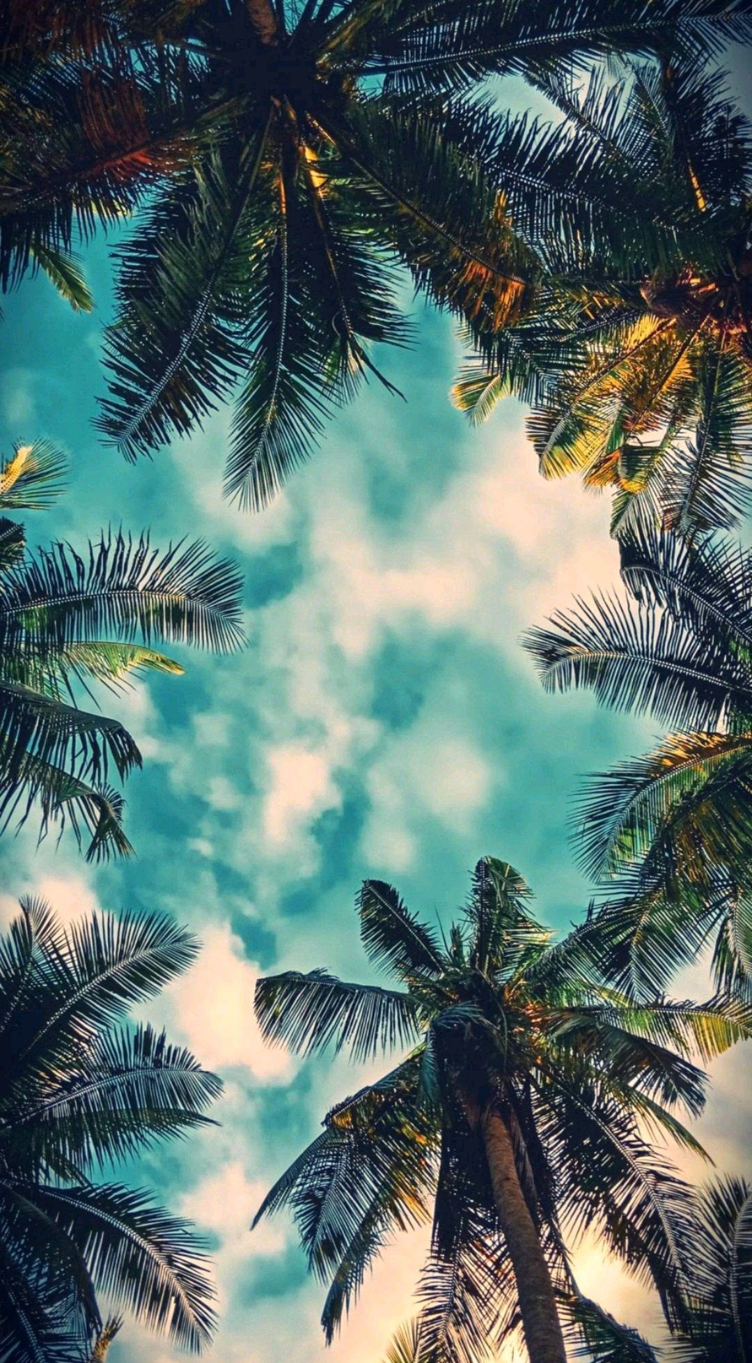 Whatsapp Wallpapers Hd Lovely IPhone Wallpaper Whatsapp Wallpapers Hd Lovely IPhone Wallpaper