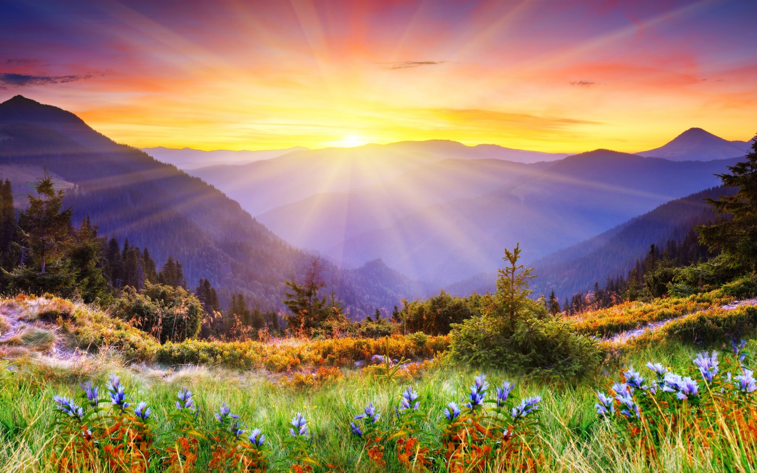 🔥 Download Magical Landscape 4k Ultra HD Wallpaper by @cperez38 | 4K