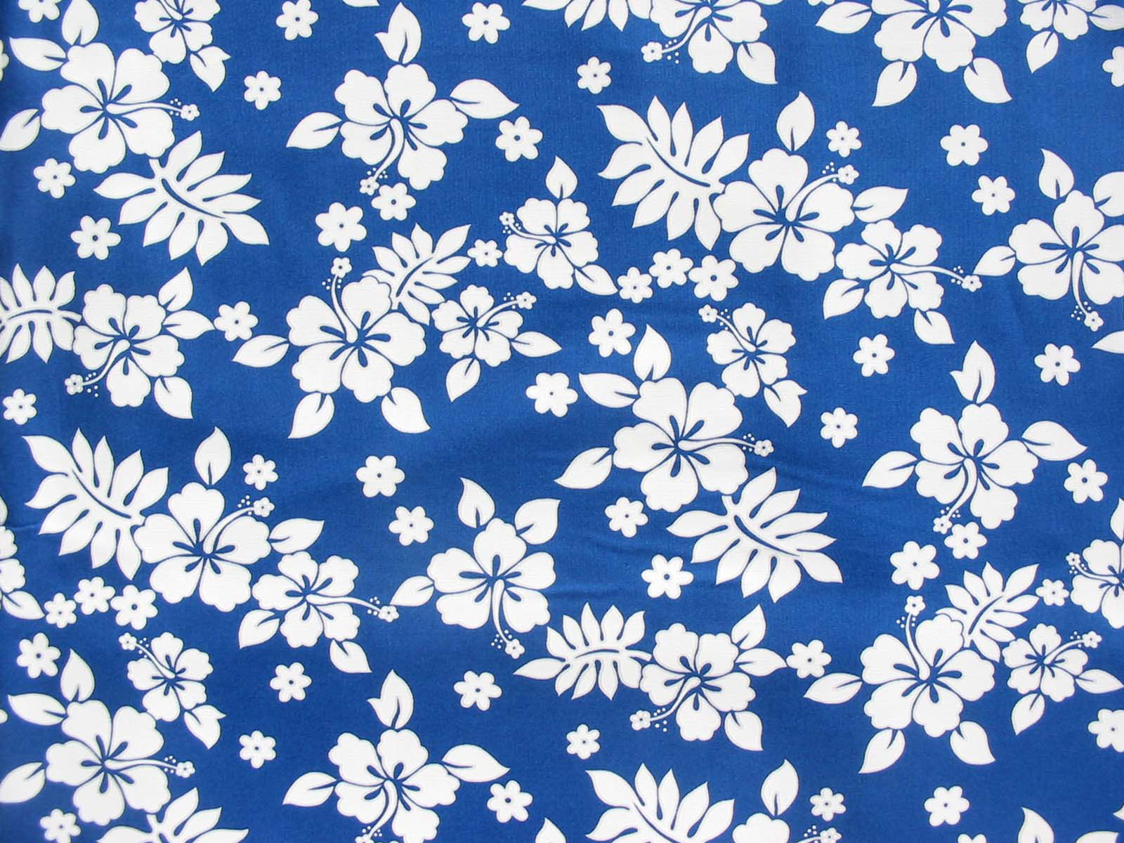 Blue Hawaiian Flower Background Image Pictures Becuo