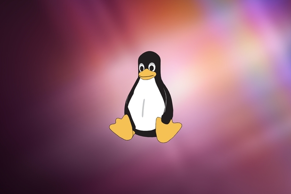 Linux Ubuntu Tux Natty Wallpaper