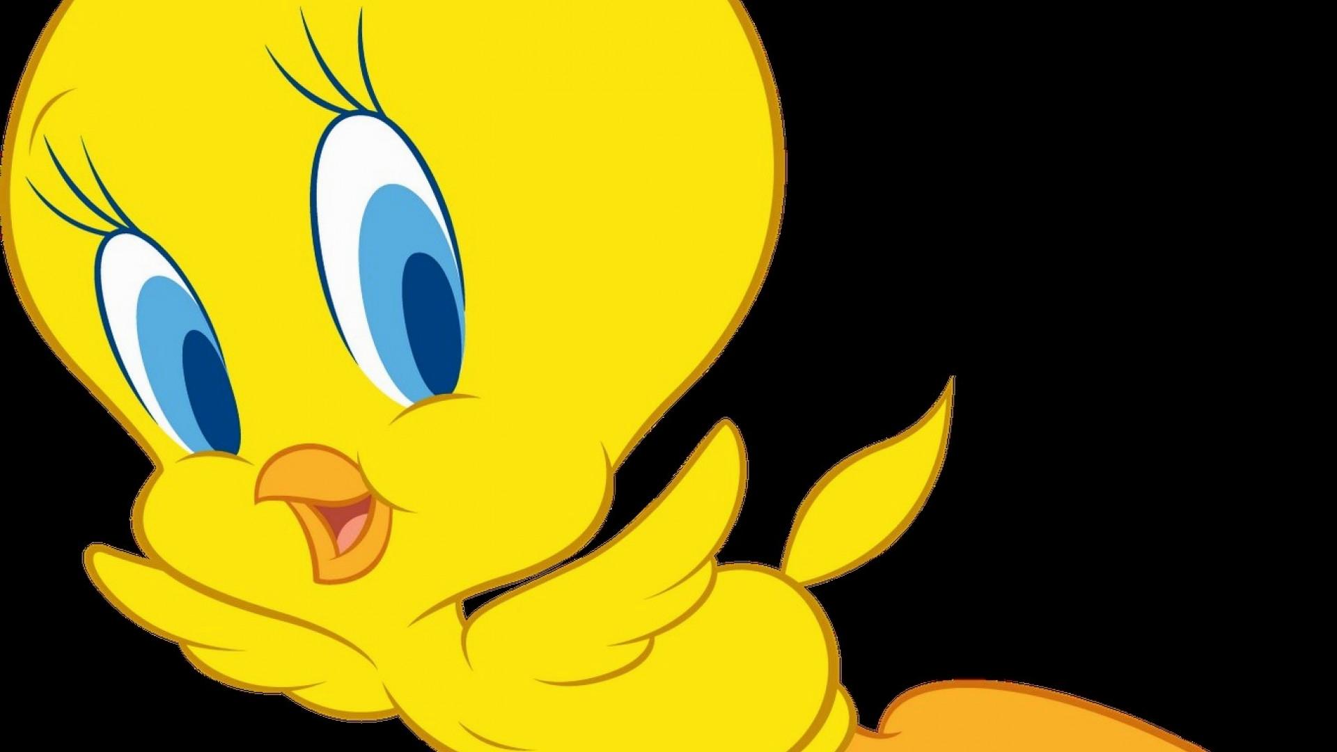 Free Download Collection Of Tweety Clipart Free Download Best Tweety Clipart 1920x1080 For