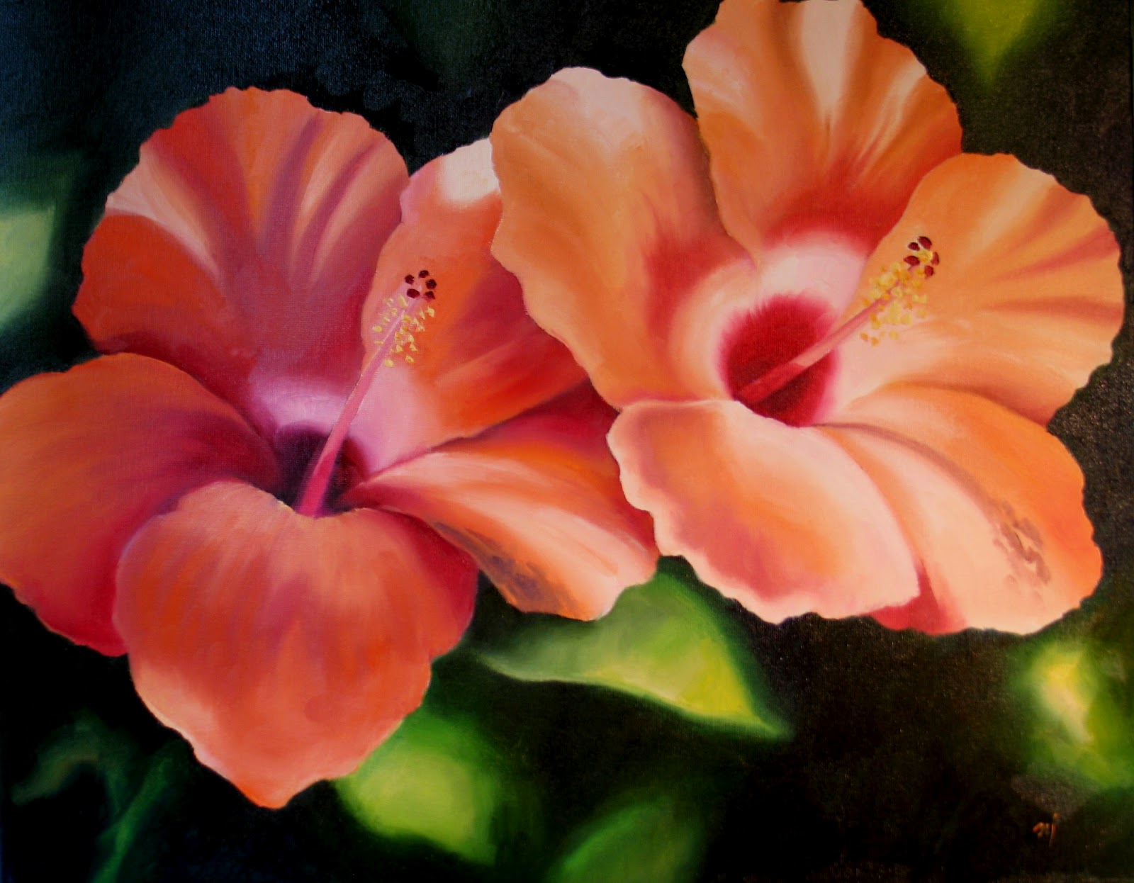 Orange Hibiscus HD Flower Wallpaper