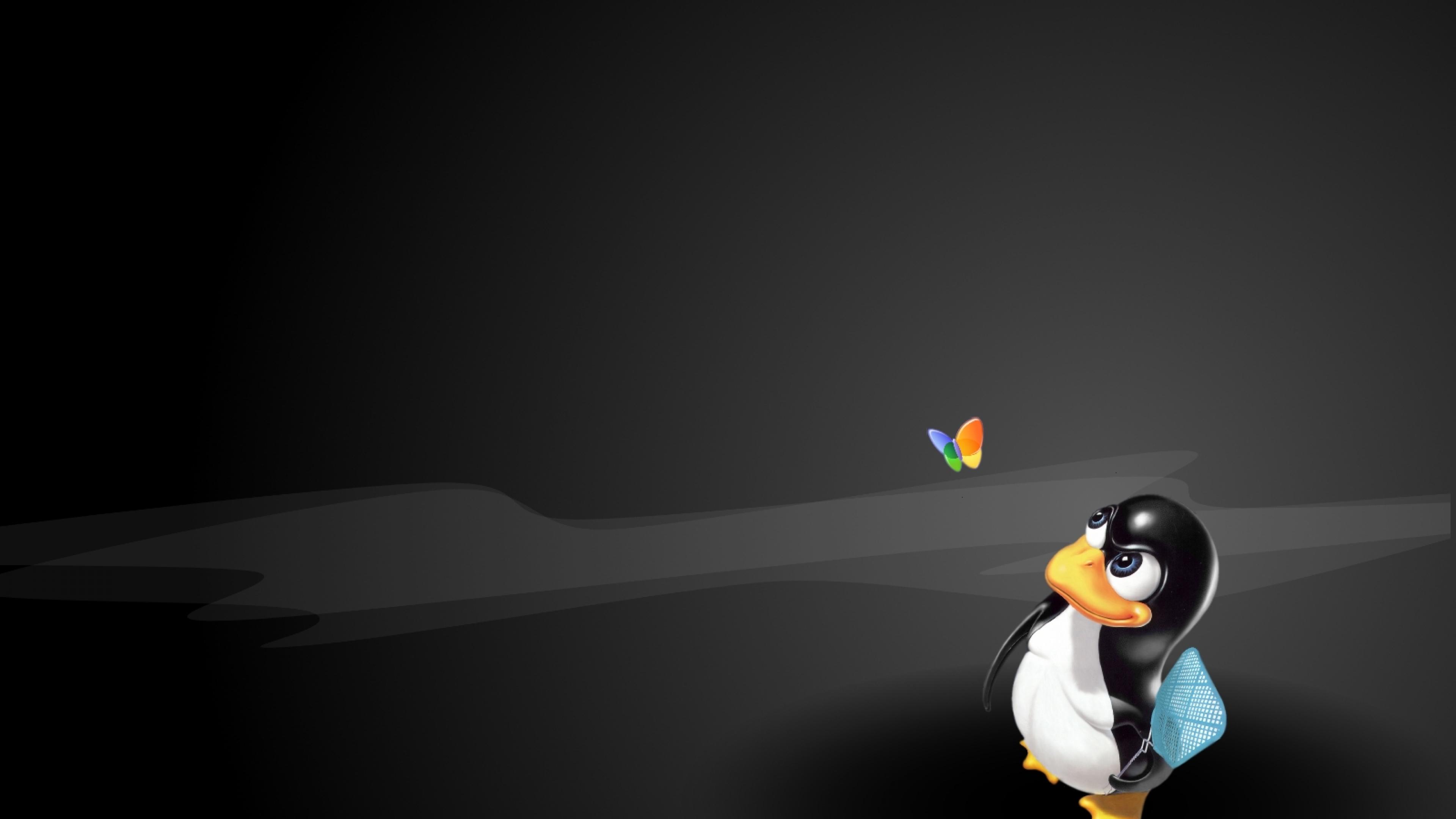 Linux Penguins Funny Butterfly Puter Ultra Or Dual High Definition