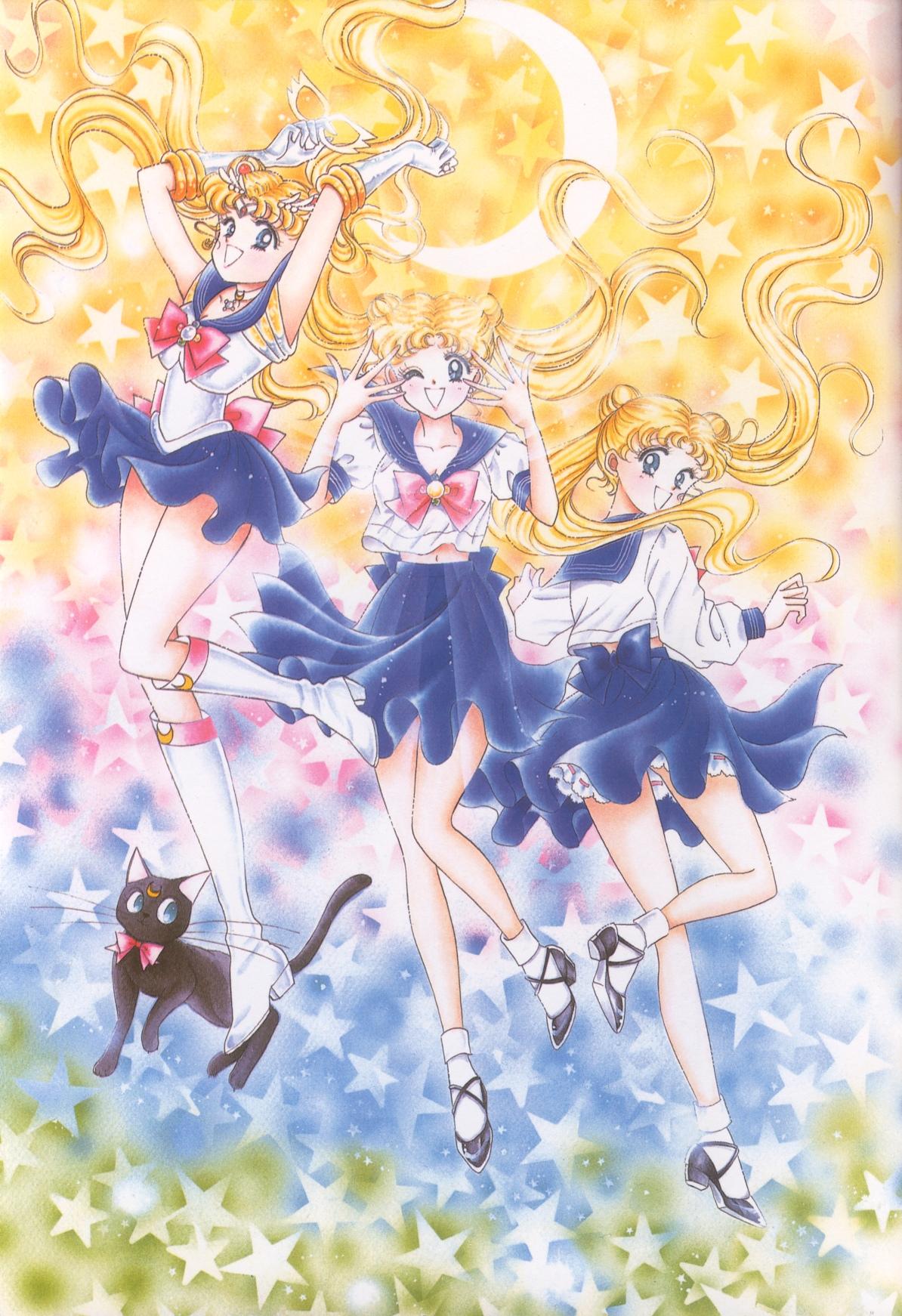 Sailor Moon Superhero