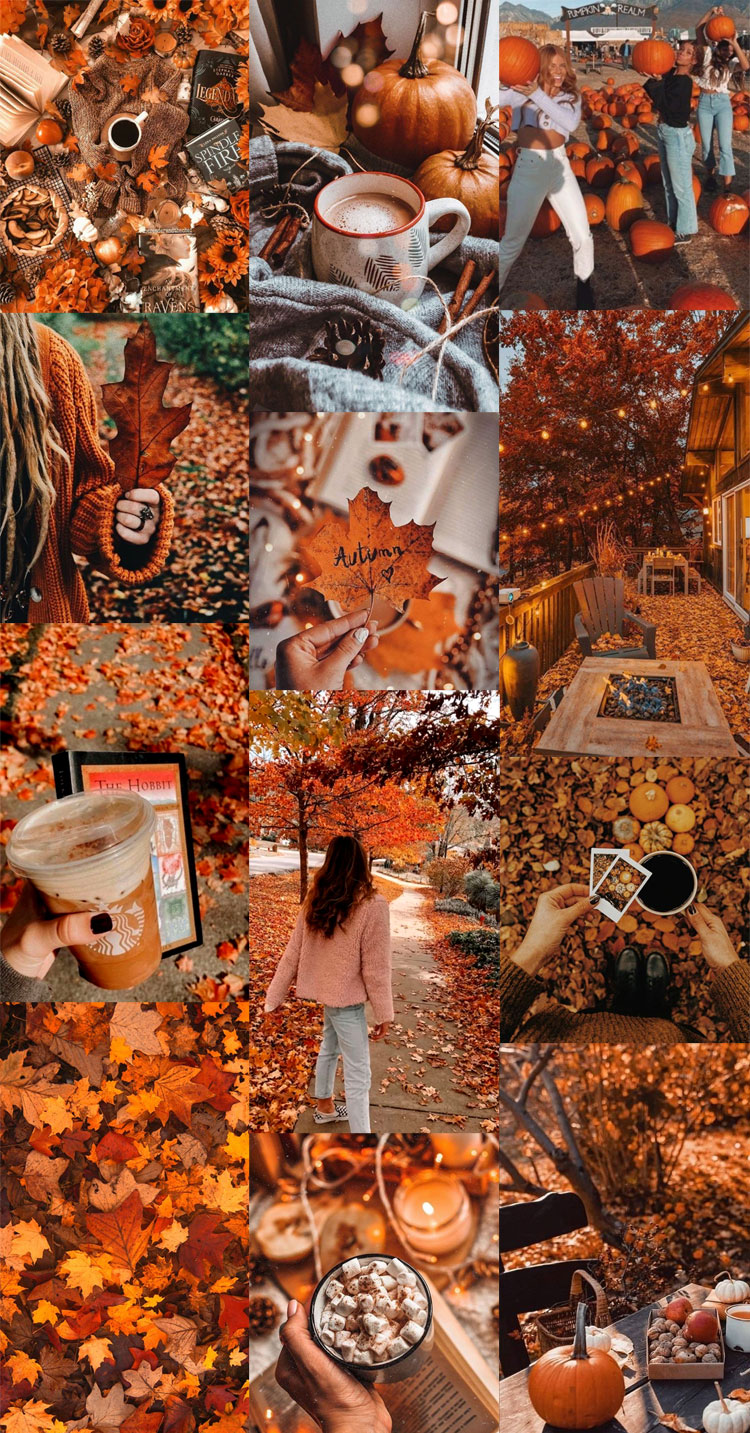 20 Autumn Collage Wallpapers Cozy Autumn Pumpkin 1   Fab Mood 750x1433