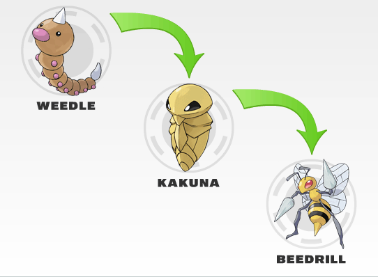 542x398px Kakuna Hd Wallpapers Wallpapersafari Pokemon Weedle Evolution Hot S Wallpaper 542x398