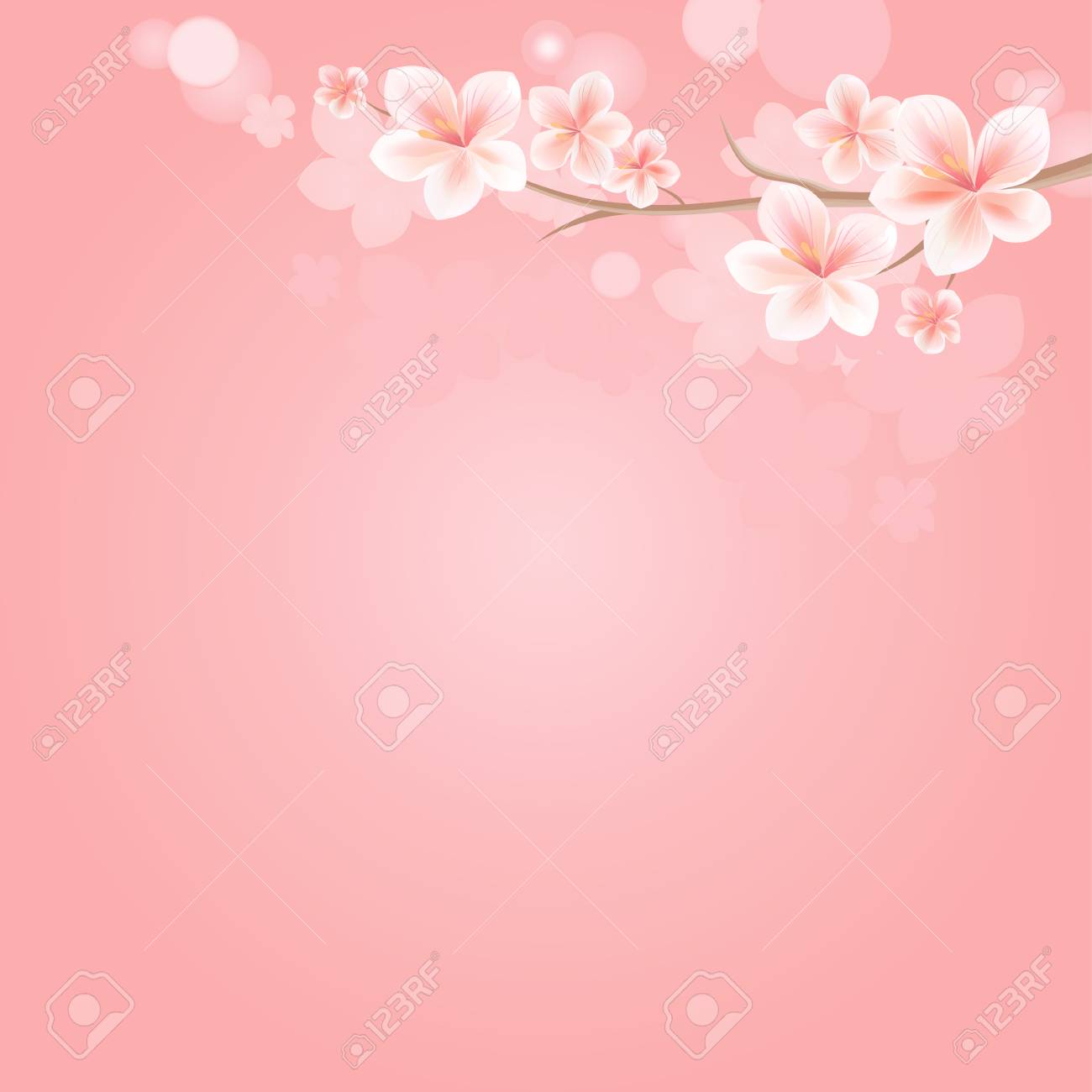 Flowers Background With Bokeh Design Sakura Blossoms