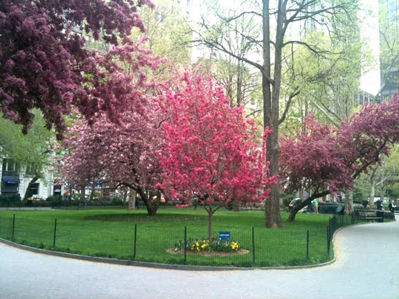 Lisa D Rediscovering America Spring Has Sprung In New York City