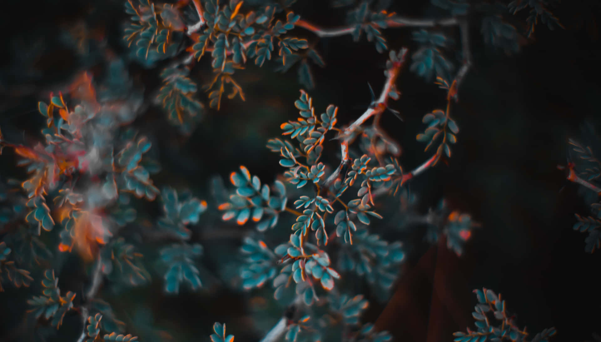Orange And Teal Wallpaper