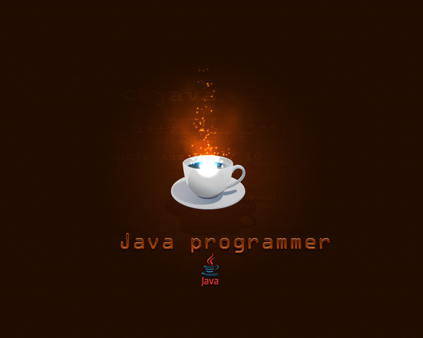 Java Programmer Wallpaper by Gr4Dm4n 600x480