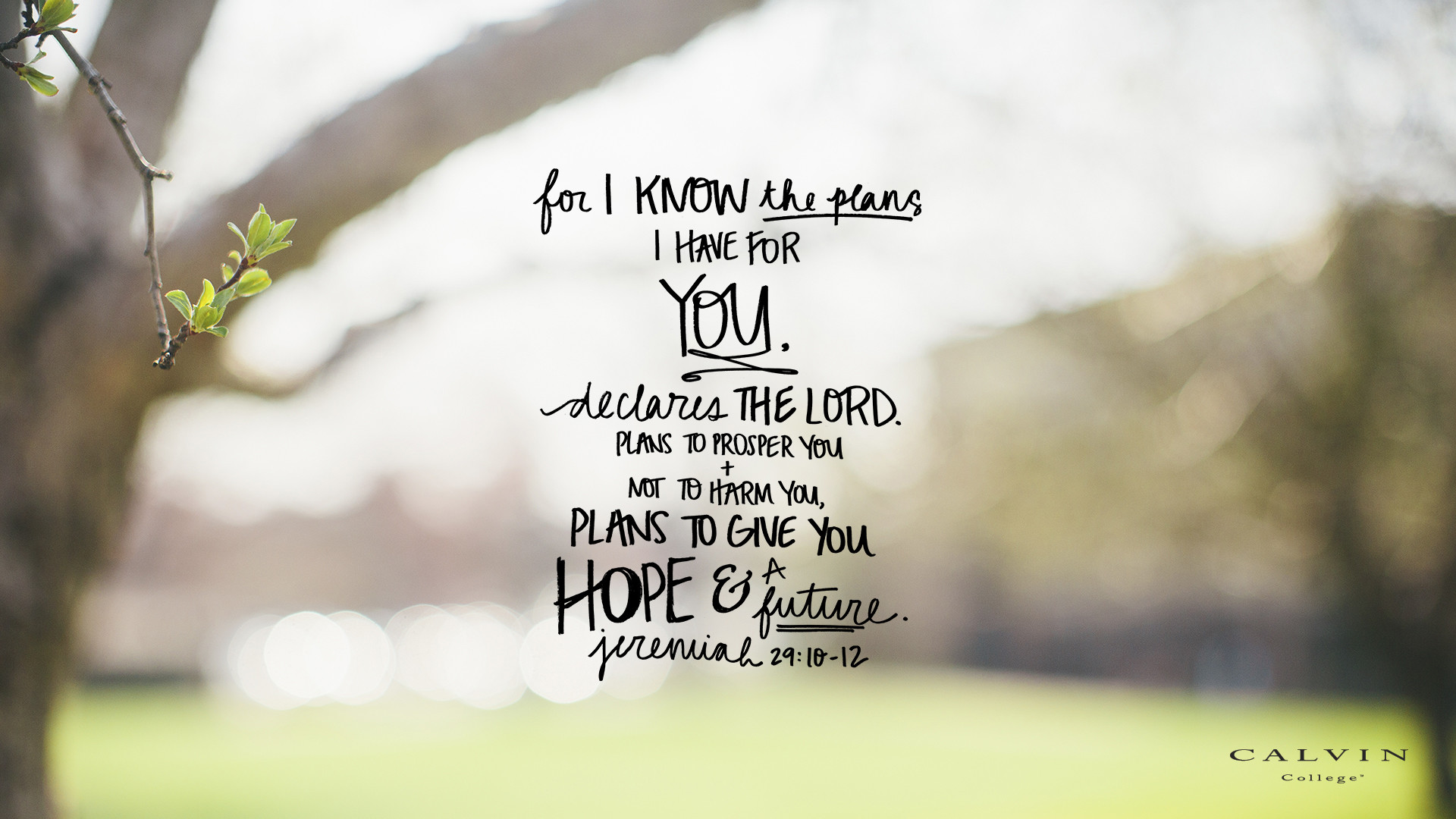 Bible verse wallpaper featuring Jeremiah 29:10-12 on a blurred background of a tree and a field