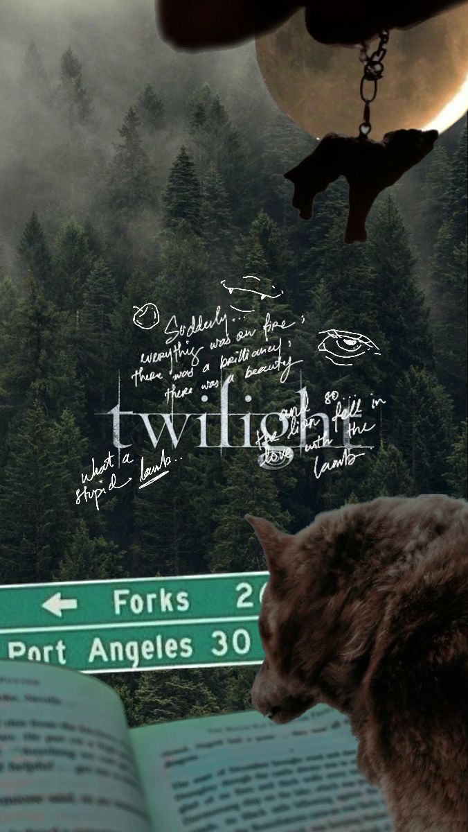 Twilight Aesthetic Wallpaper