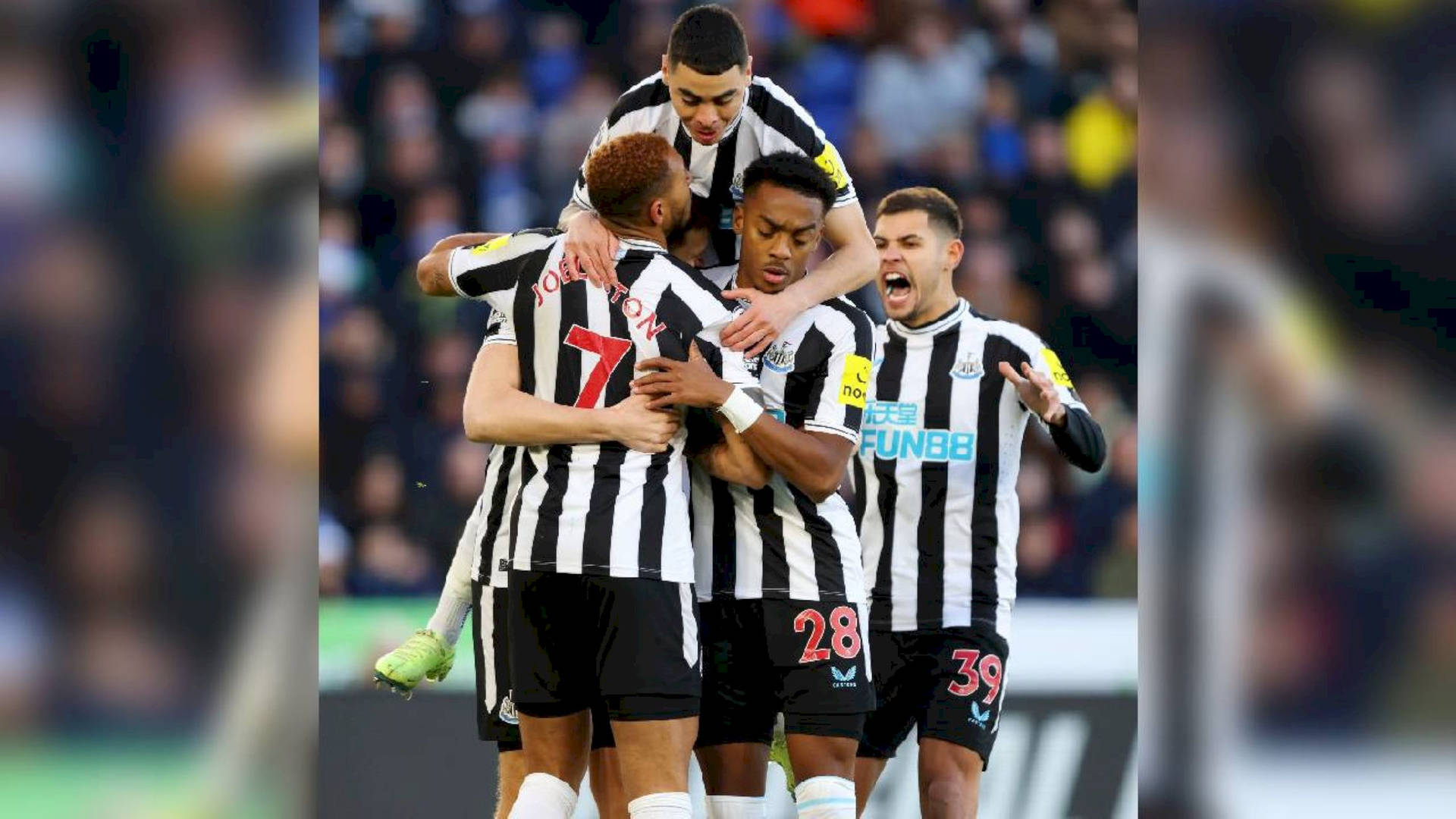 Newcastle United Fc Wallpaper