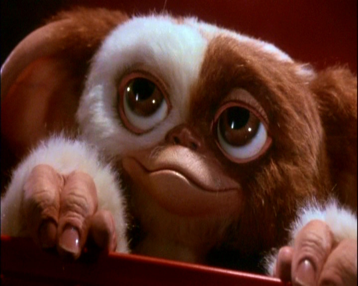 Gizmo from the movies Gremins phone wallpaper  Gremlins Scary movies  Gremlins gizmo