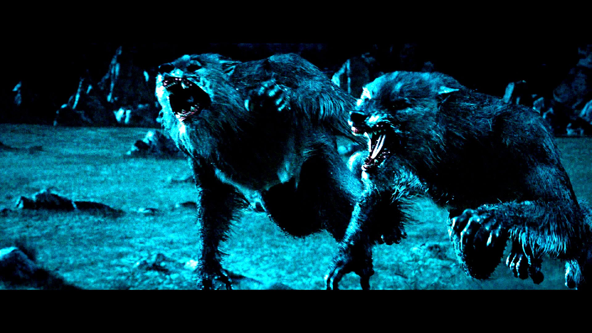 Underworld Action Fantasy Thriller Dark Lycan Werewolf Ji