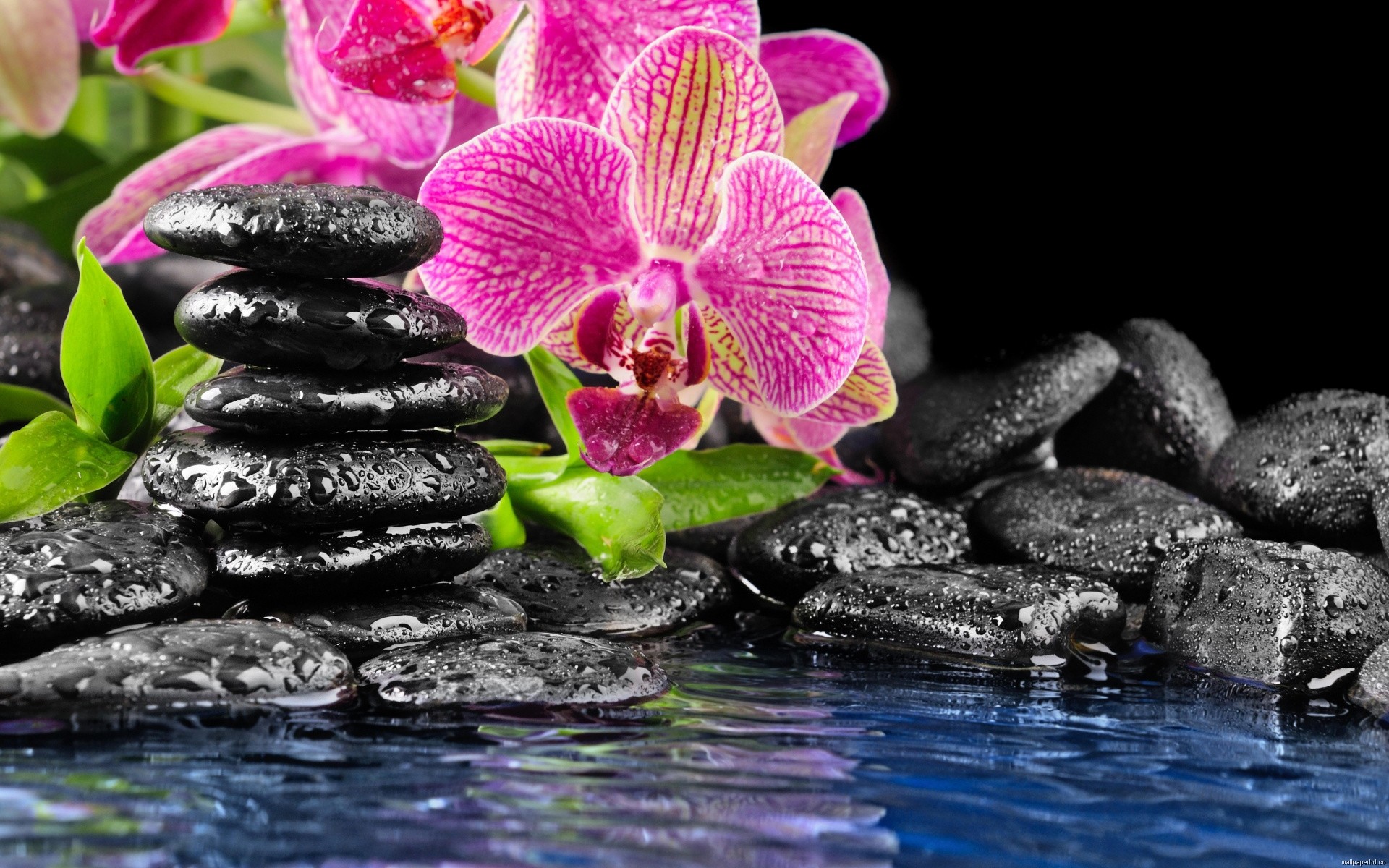 HD Wallpaper For Computer Desktop