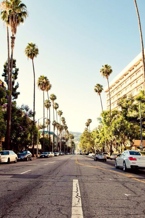 California palm trees street iphone wallpaper Pinterest
