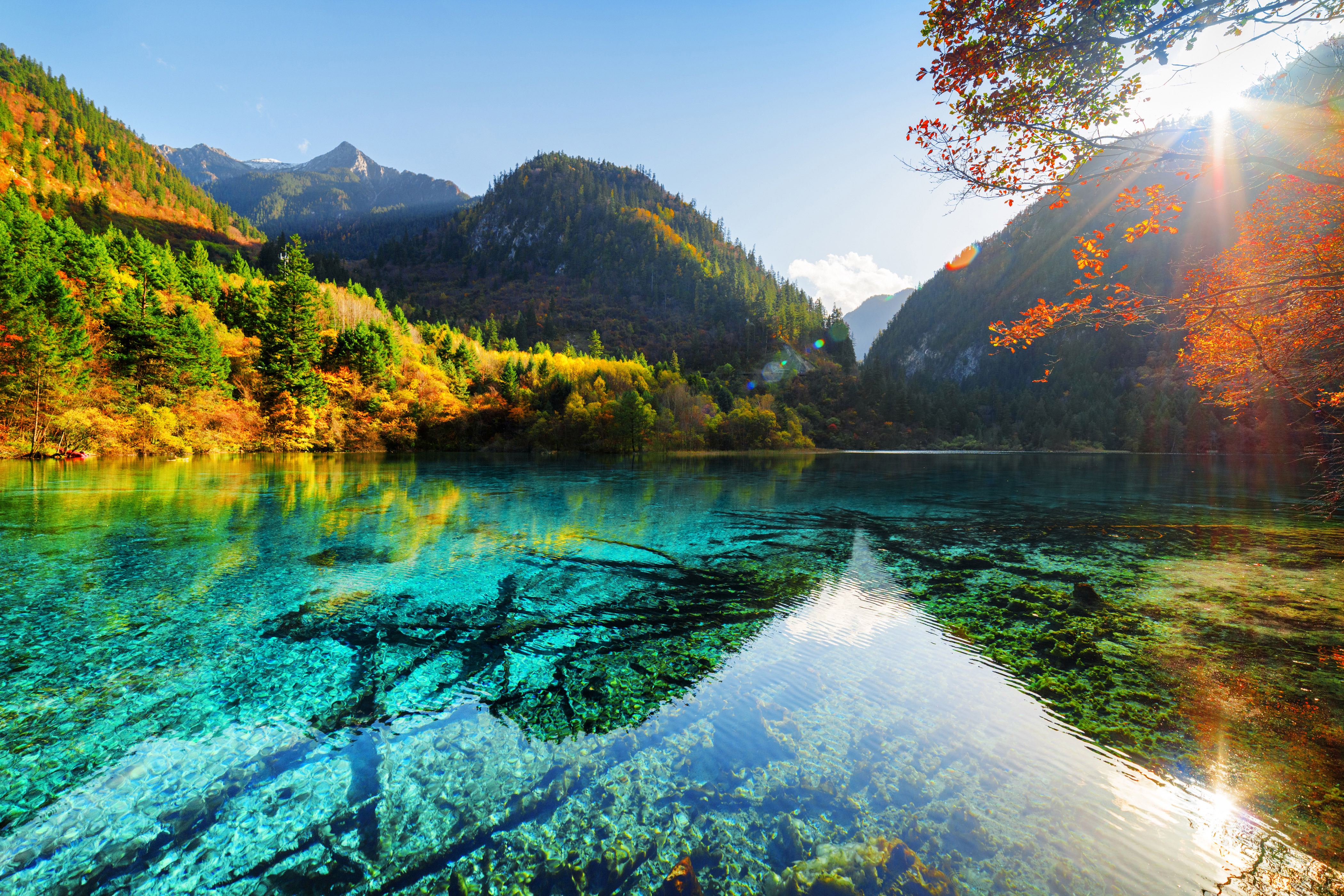 A breathtaking 4K wallpaper of a crystal-clear lake in a vibrant autumn forest, surrounded by majestic mountains
