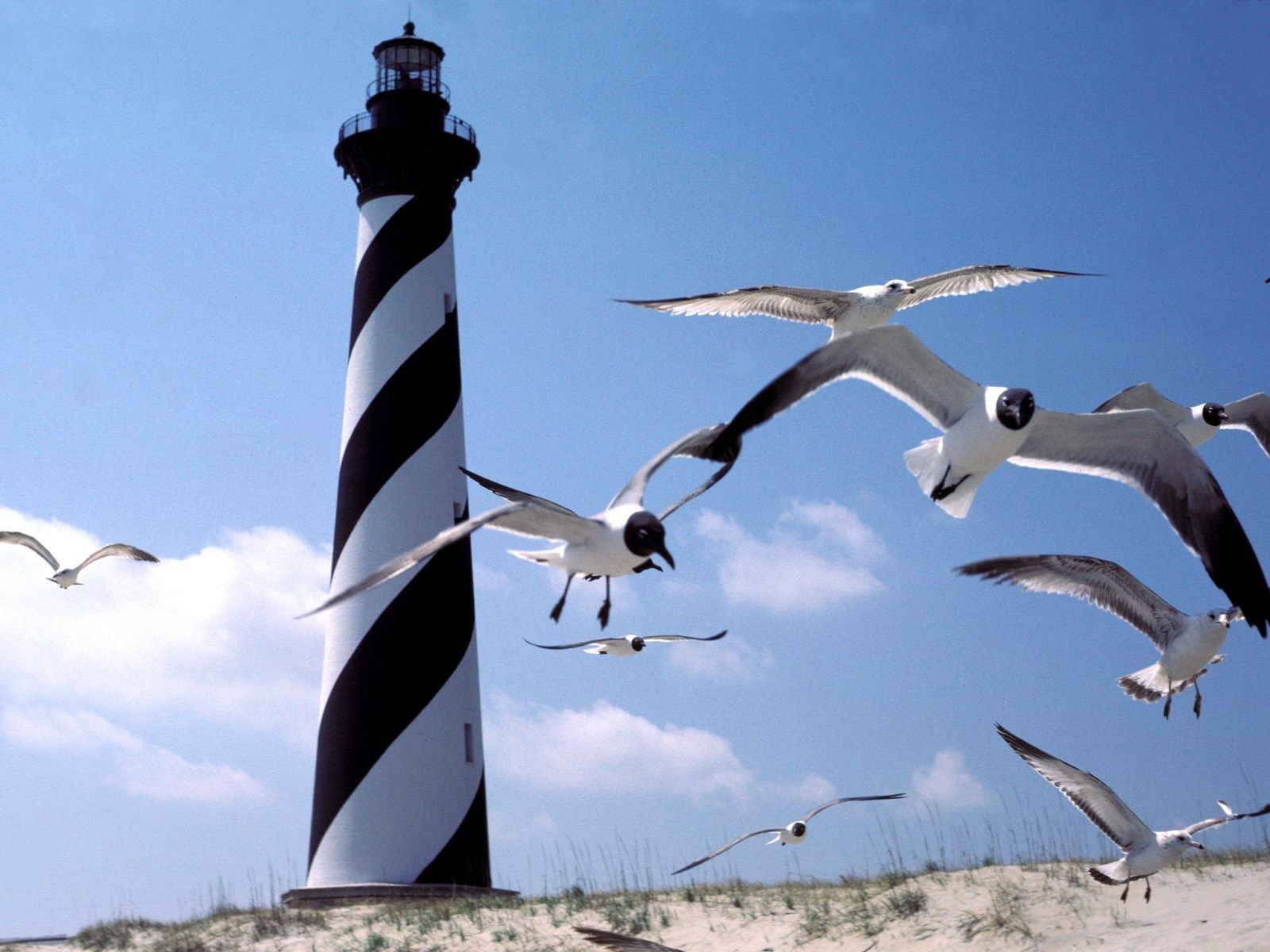 Lighthouses Untitled North Carolina Cape Hatteras Lighthouse