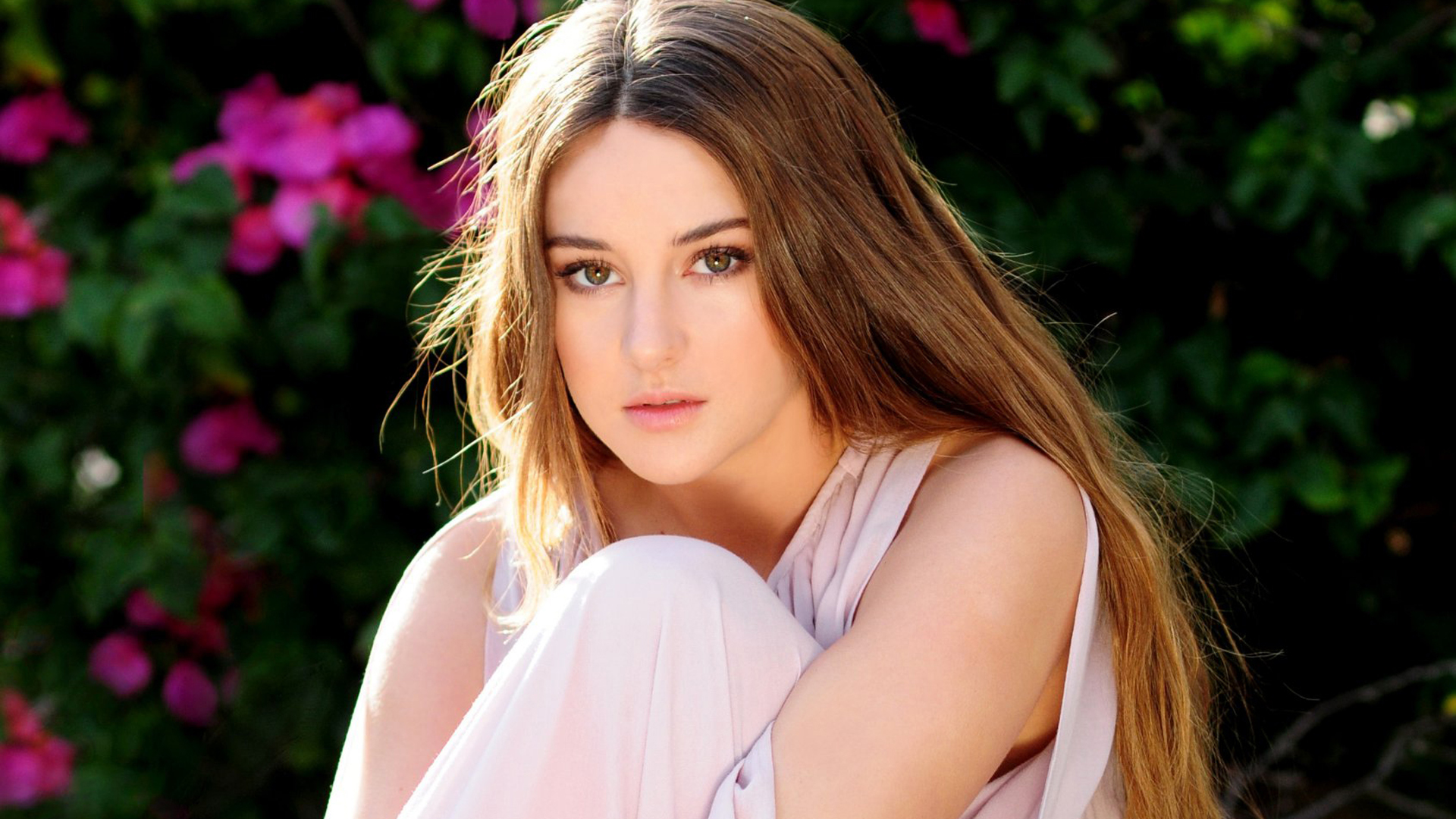 Shailene Woodley HD Wallpaper