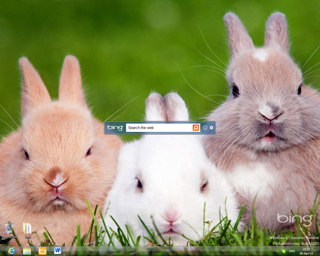 Windows Bing Desktop Background In By