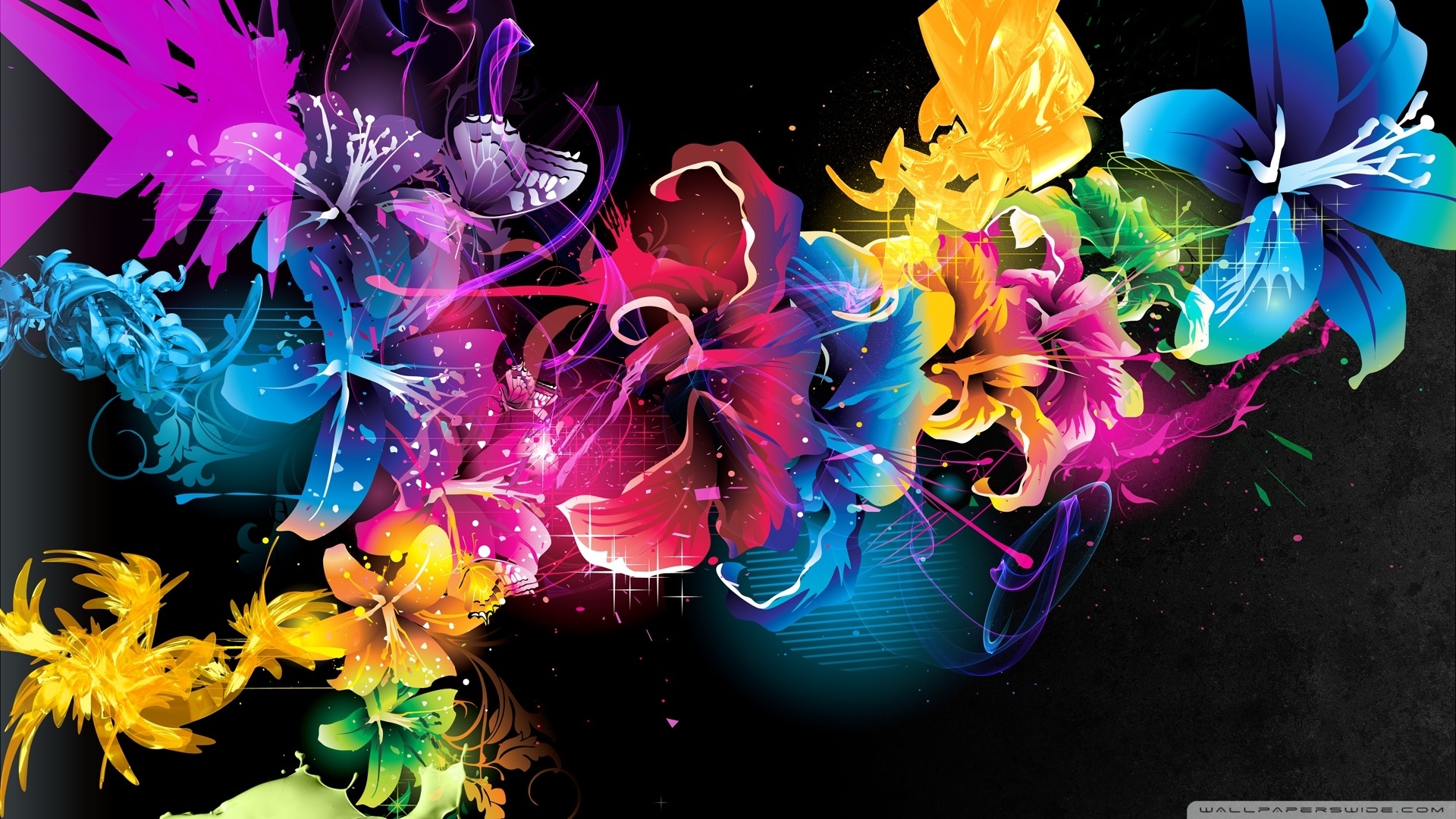 Colorful Flowers Wallpaper 1920x1080 Colorful Flowers