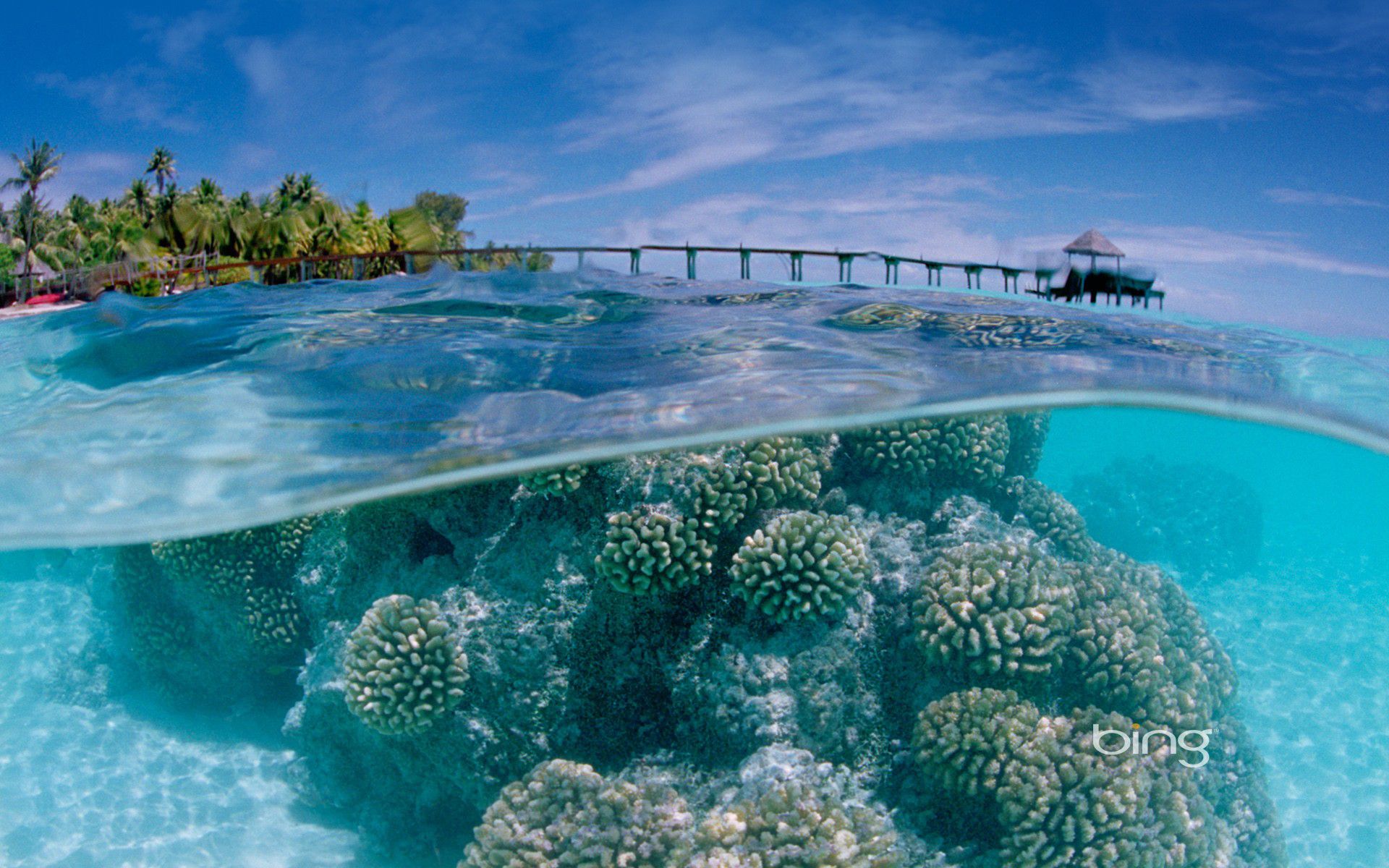 Fakarava Atoll Underwater Awaa Landscape
