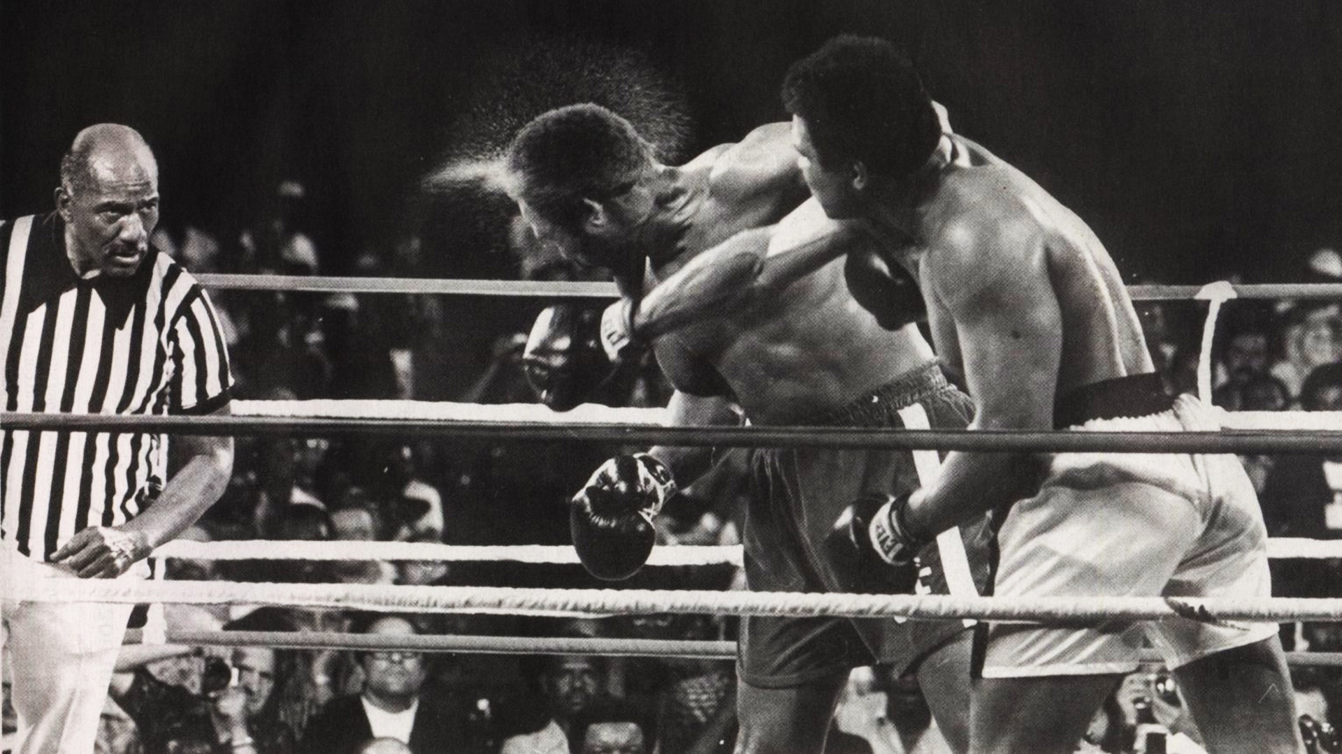 Muhammad Ali Hit High Definition Wallpaper HD