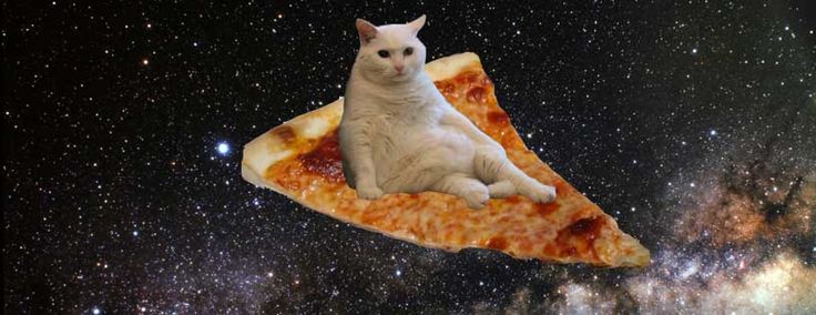 Galaxy Pizza Cat That S Pretty Neat