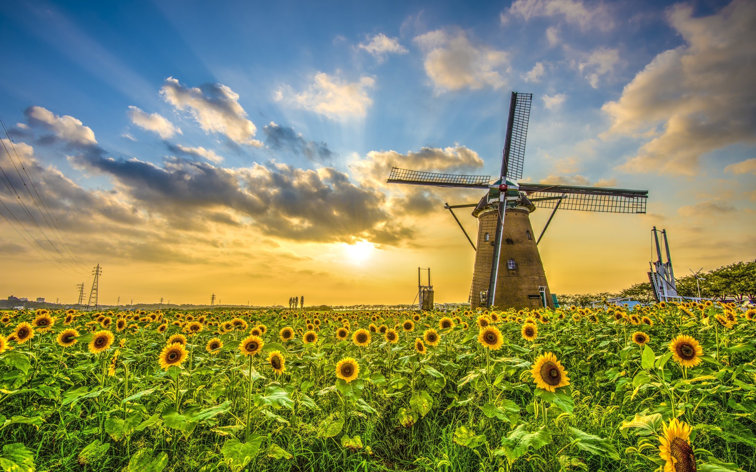 Field Sunflower Sunset Windmill Landscape Wallpaper