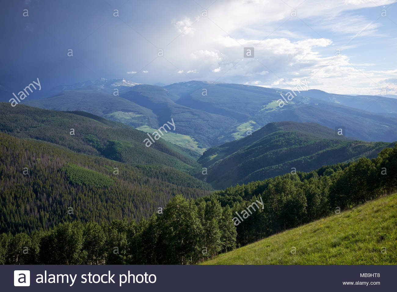 Scenic Green Forested Valley With Cloudscape In Background Vail
