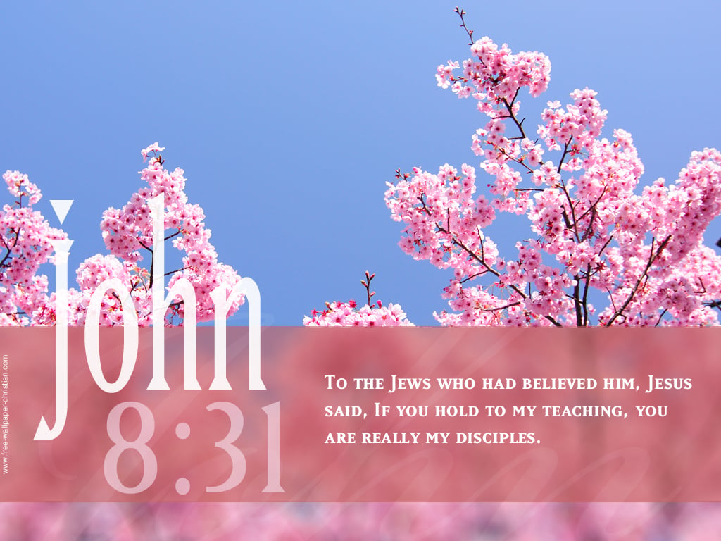 Labels Bible Quotes Bible Verse Wallpaper Christian Backgrounds