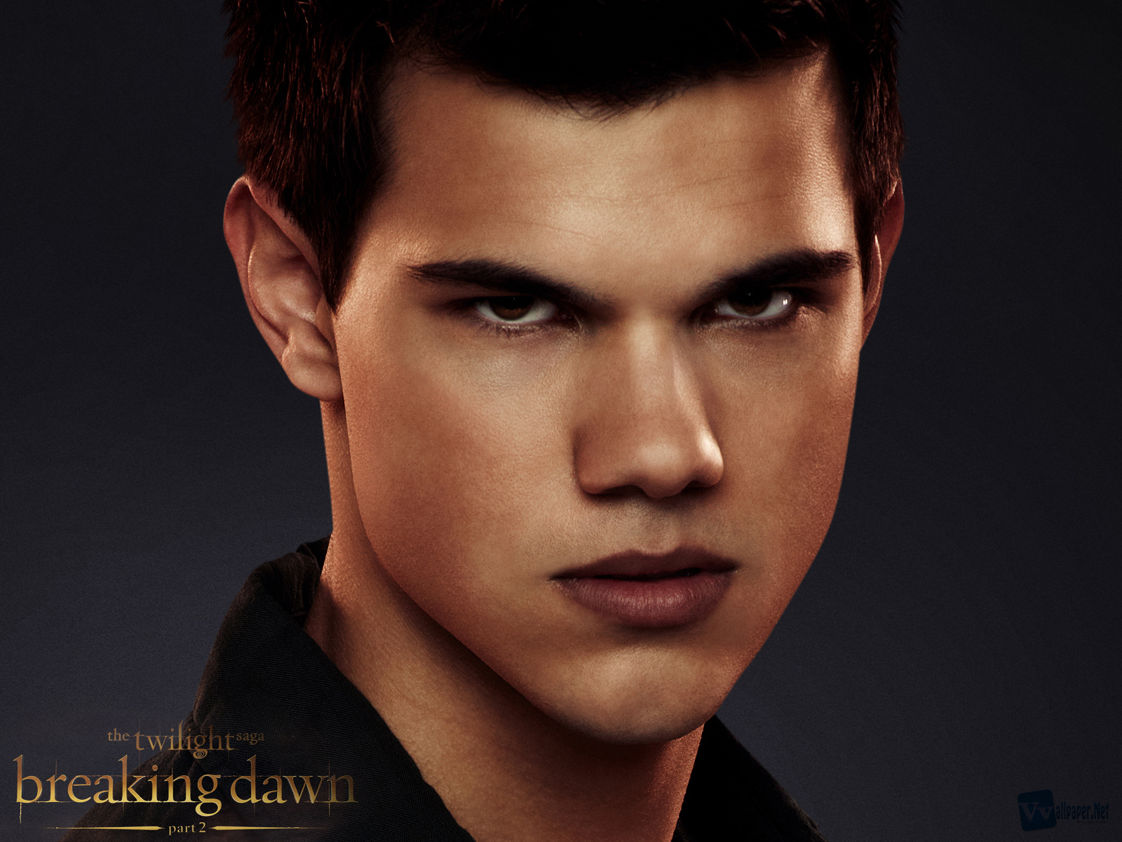 Twilight Saga Breaking Dawn Part Characters HD Wallpaper