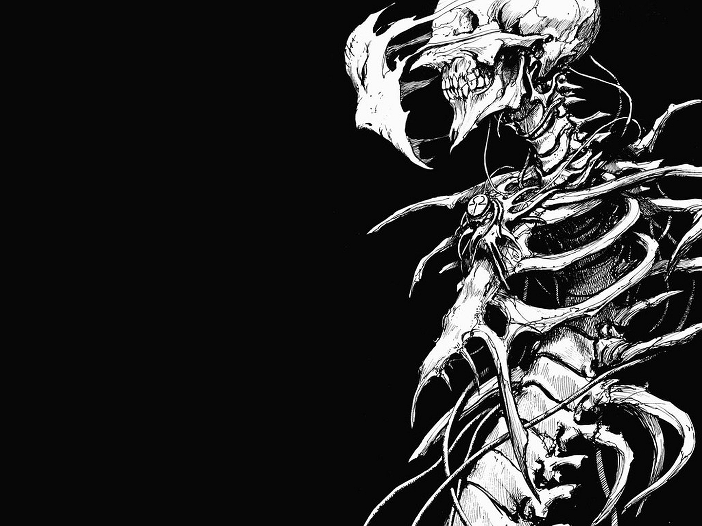 Skeleton Wallpaper And Background Id