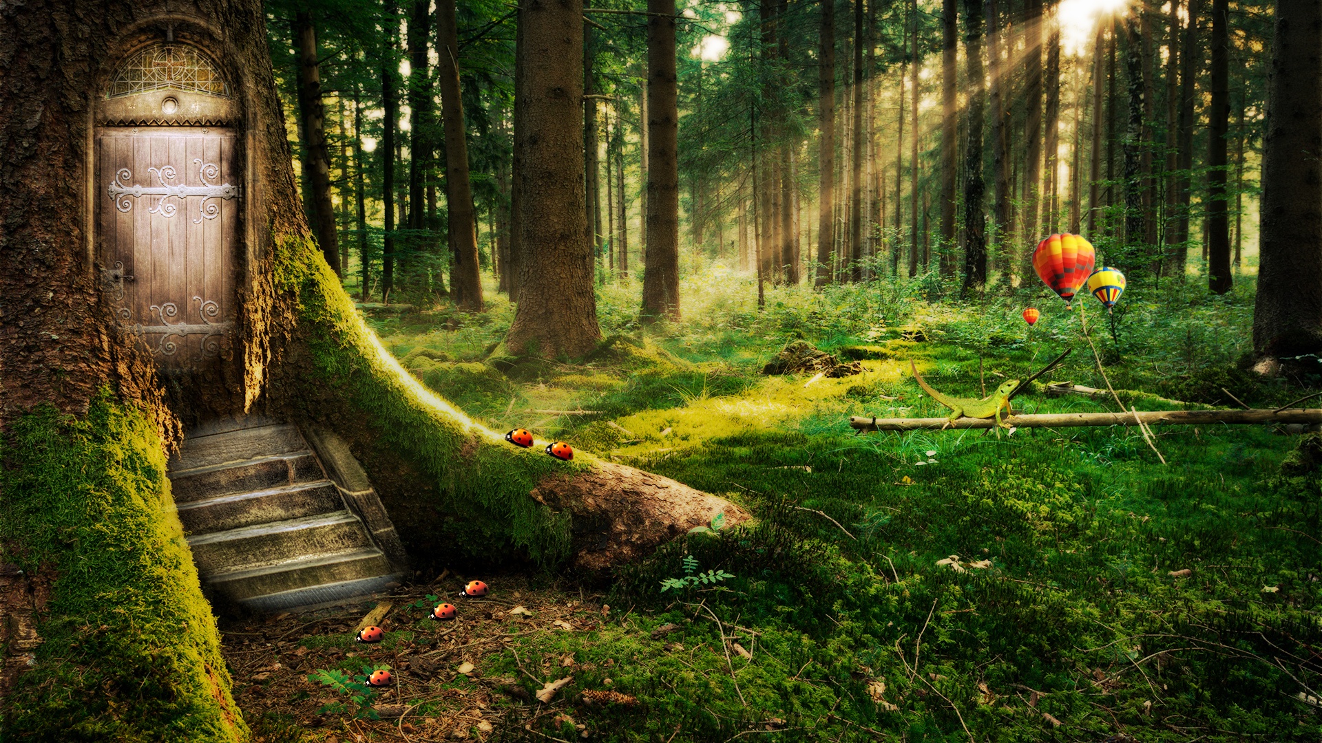 Enchanted Forest Wallpaper HD