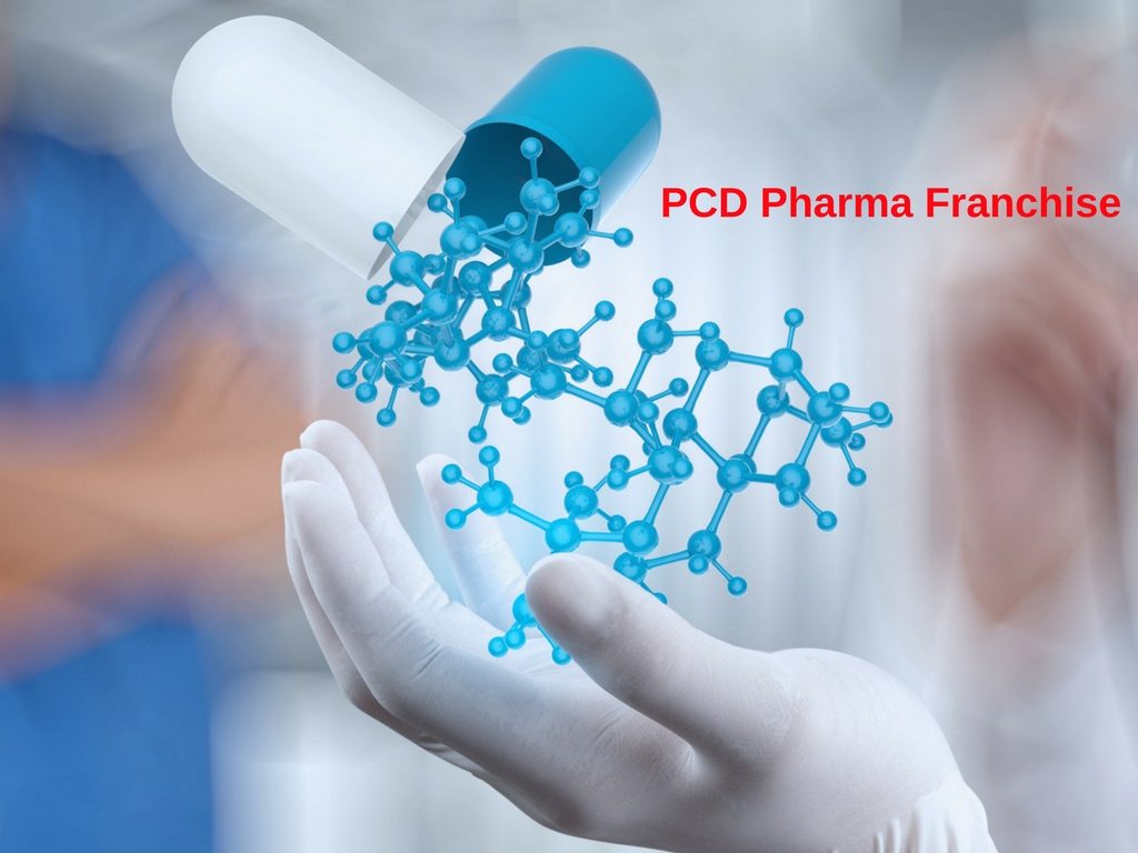 What Should Expect From Pcd Pharma Franchise Panies In India