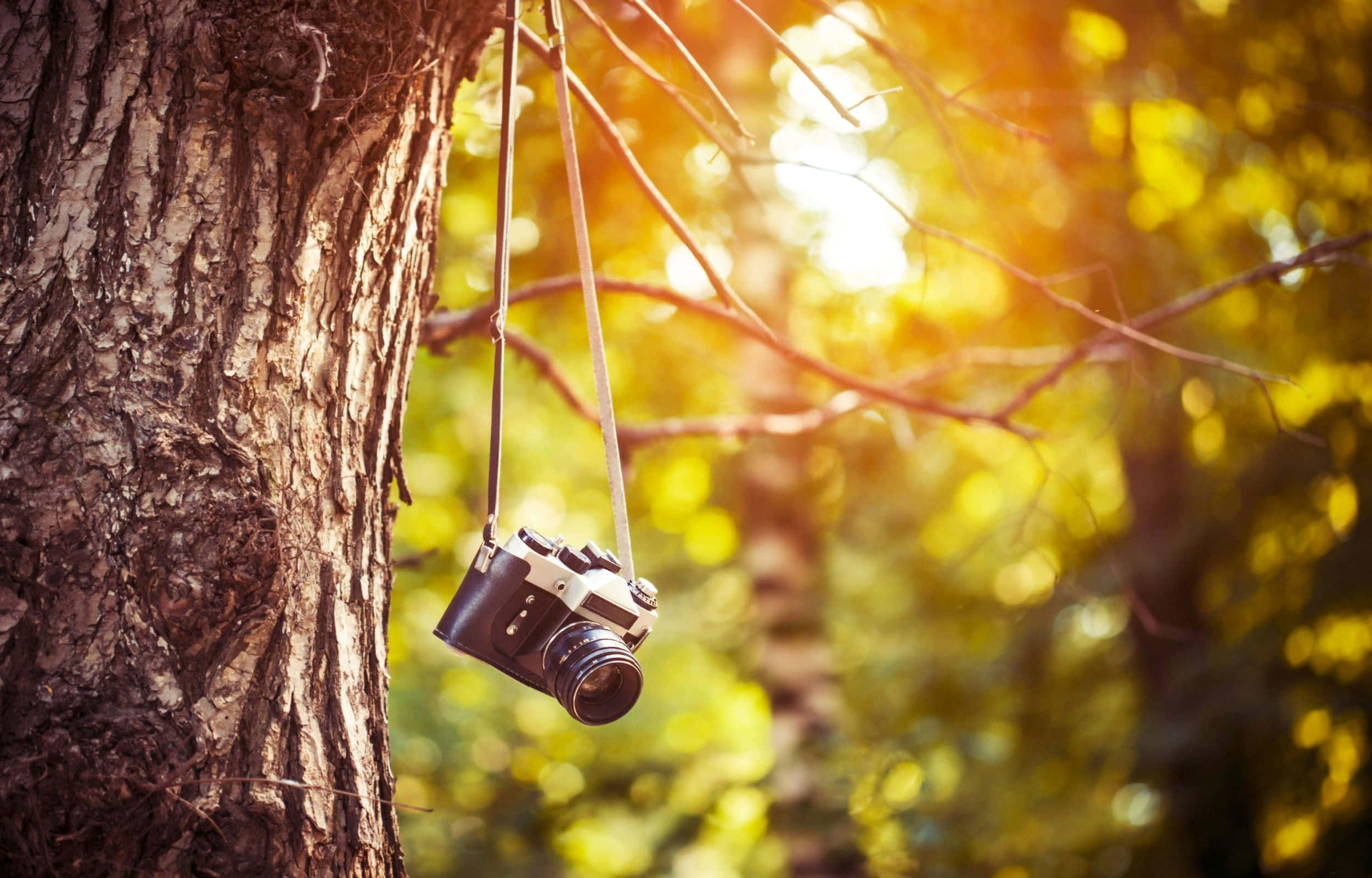 Dslr Background Wallpaper