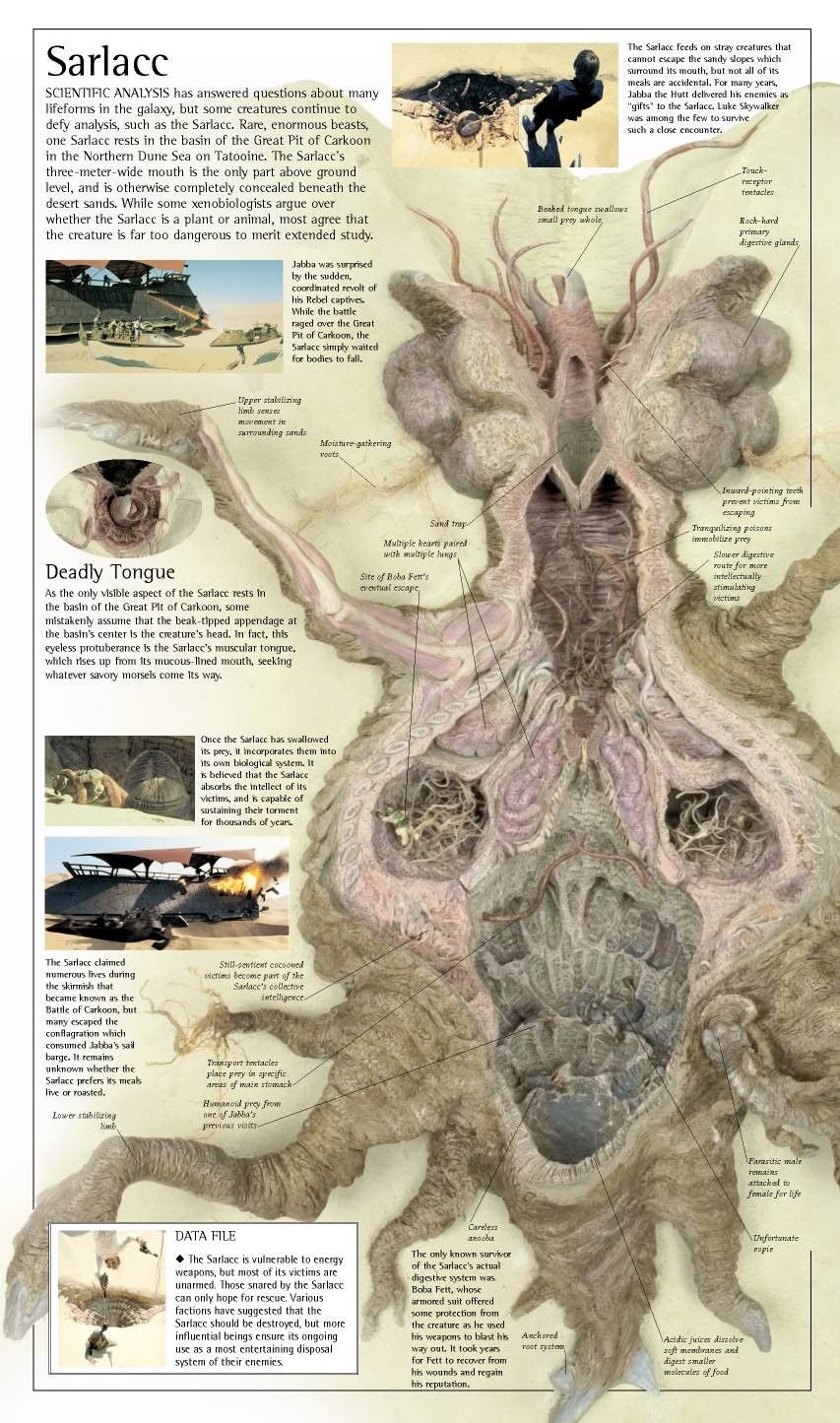 Actual Anatomy Of The Sarlacc Pit Whatever Star Wars Rpg
