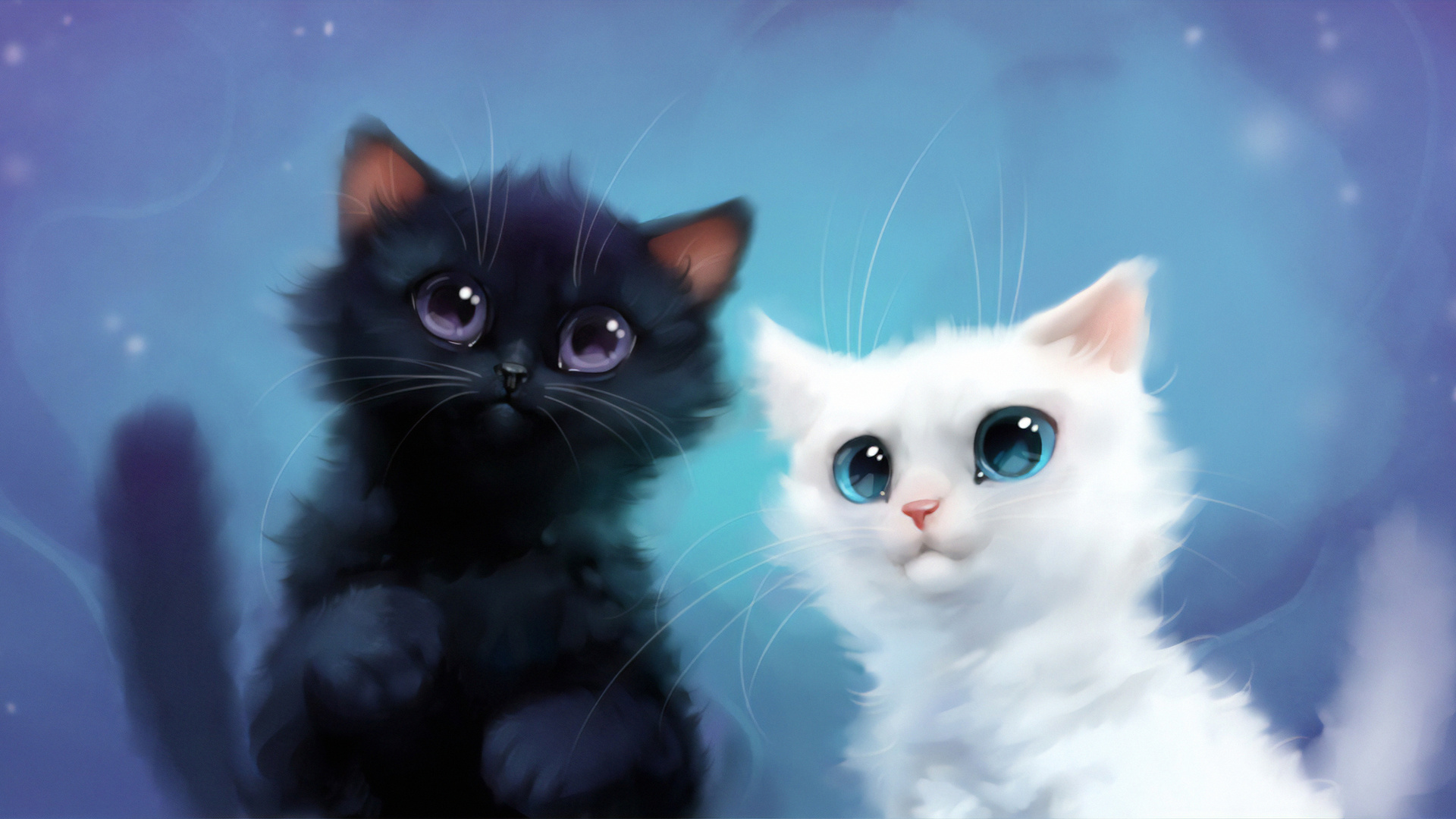 Two Adorable Kittens: A black and white kitten duo with large, expressive eyes on a soft blue background