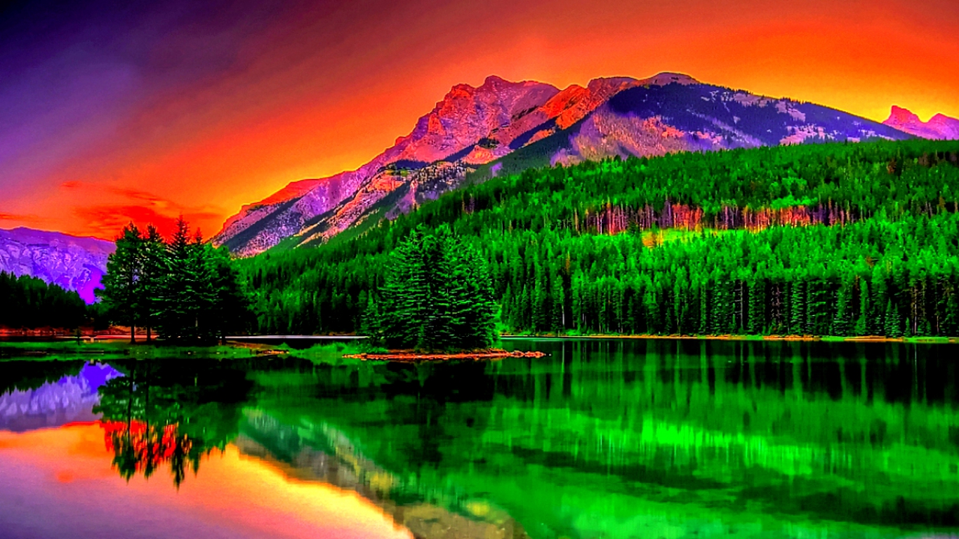 🔥 Download Sunset Nature Desktop Background Blue Flower Wallpaper