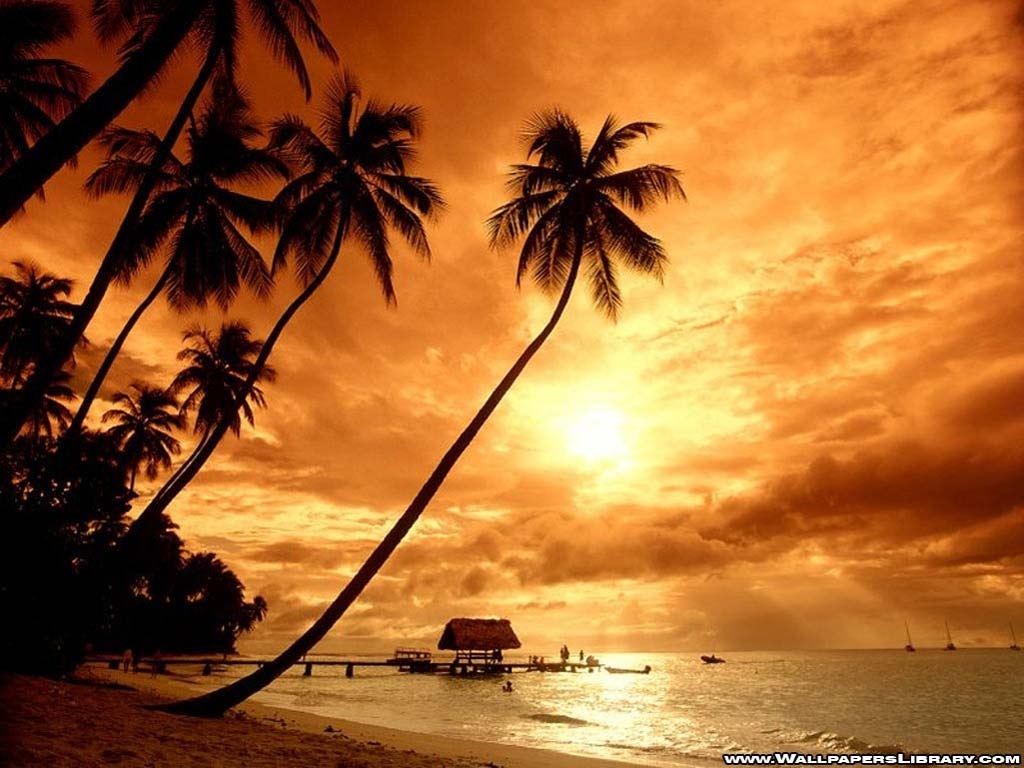 Tropical Beach Paradise Sunset Fondos De Pantalla