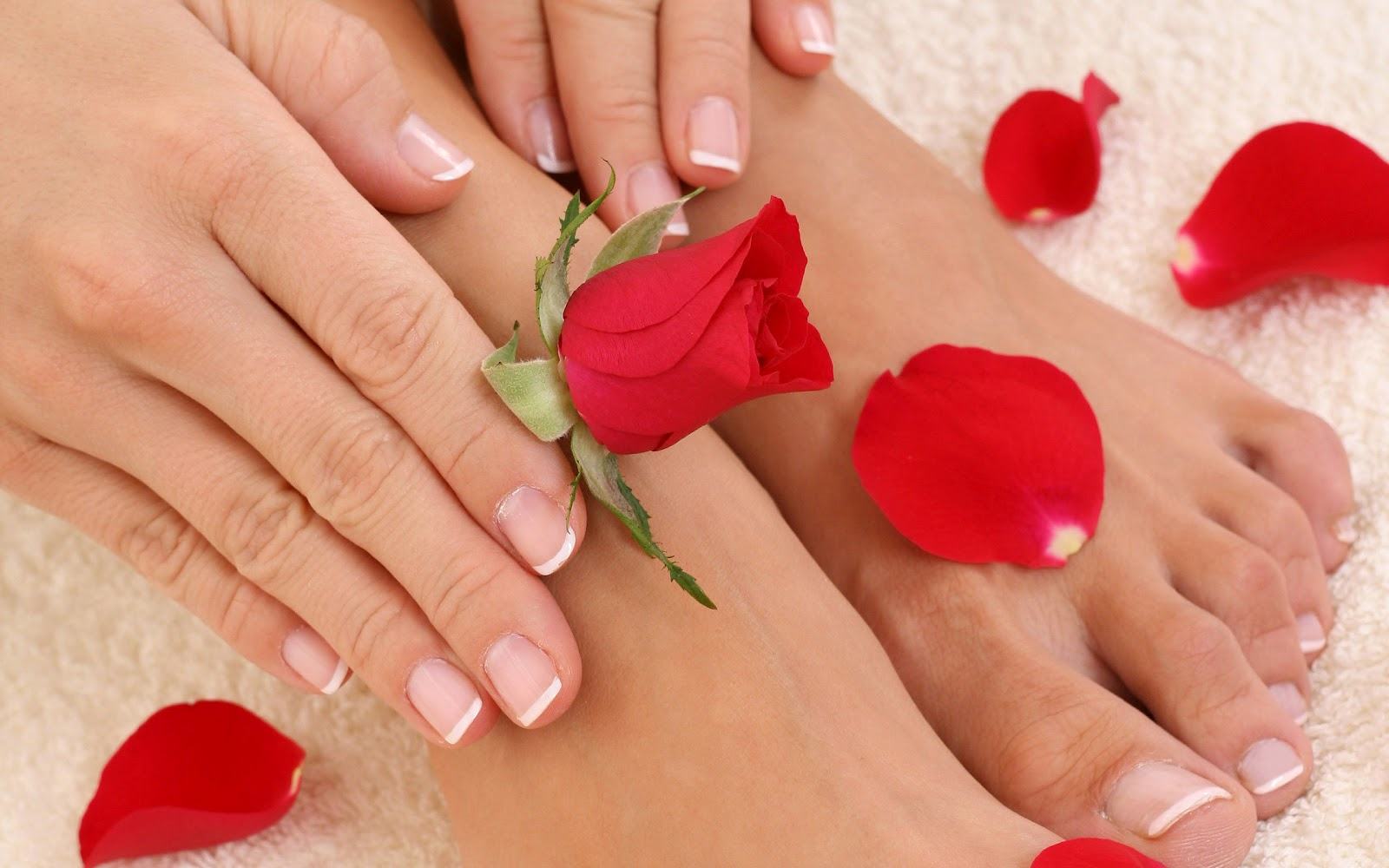 HD Wallpaper Womens Feet Red Rose Petals Background