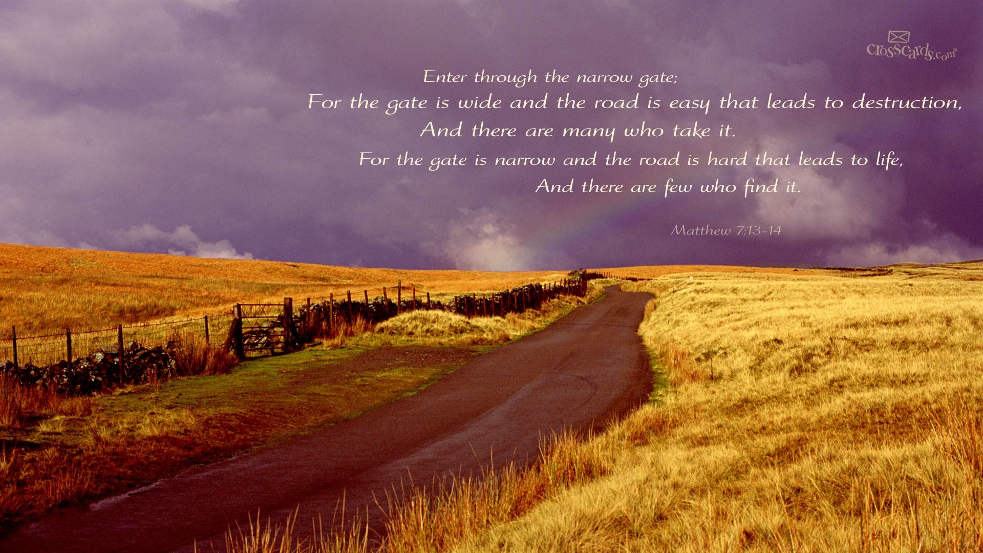 A narrow road winding through a golden field, symbolizing the path to life as described in Matthew 7:13-14