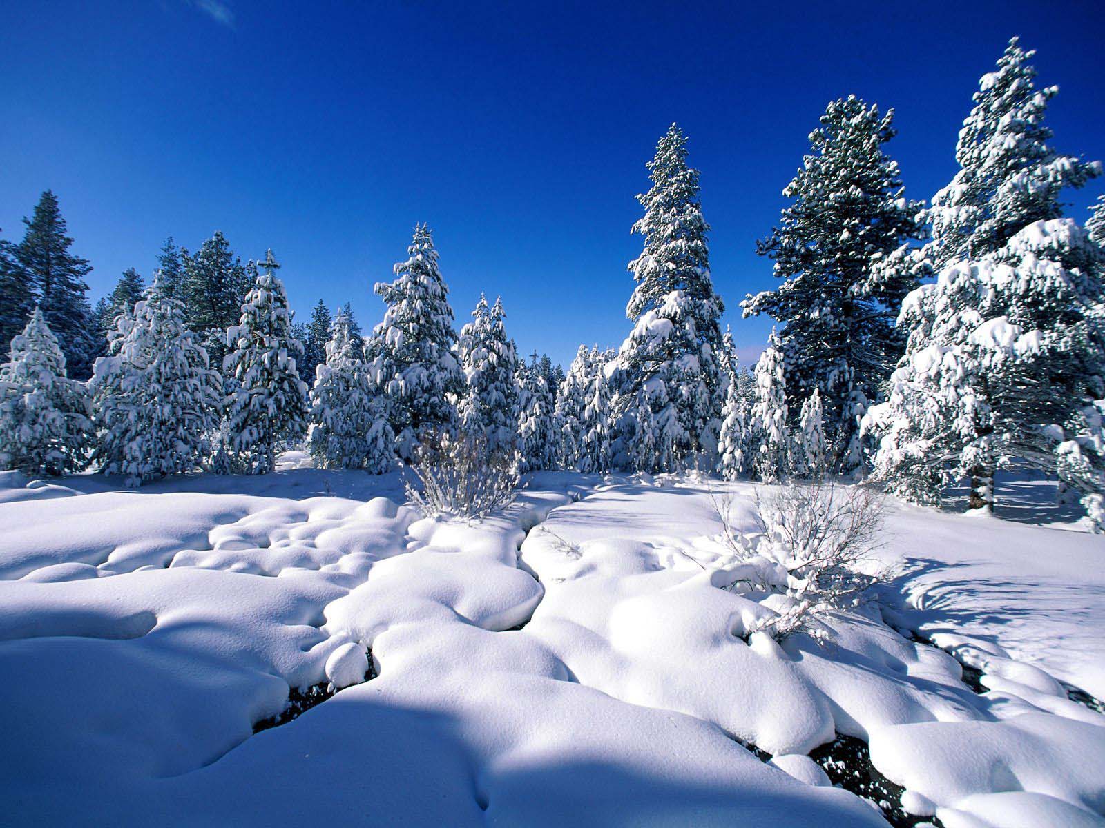 Winter Wonderland Pictures