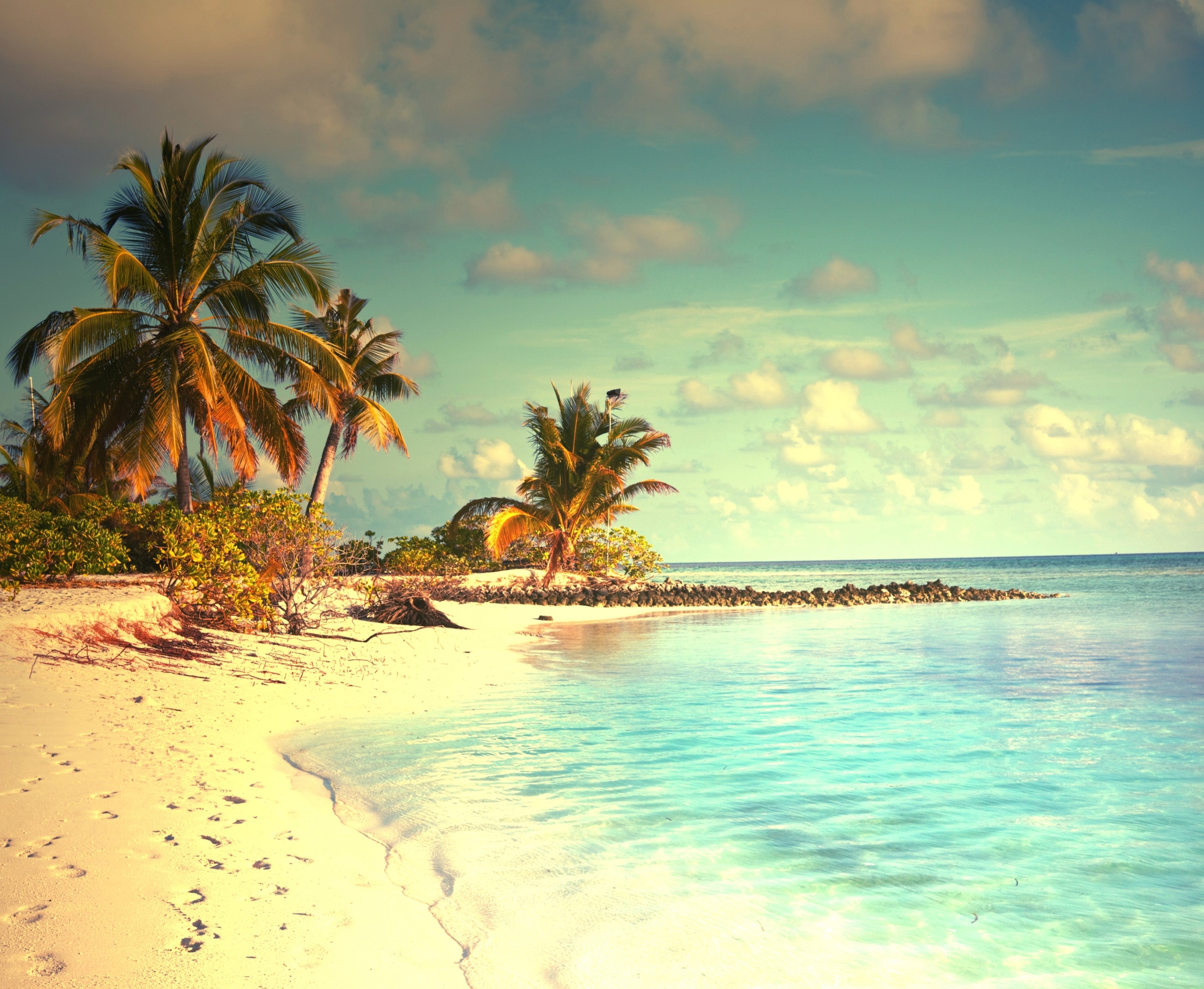 Tropical Paradise Beach Palms Sea Ocean Sunshine Summer Wallpaper