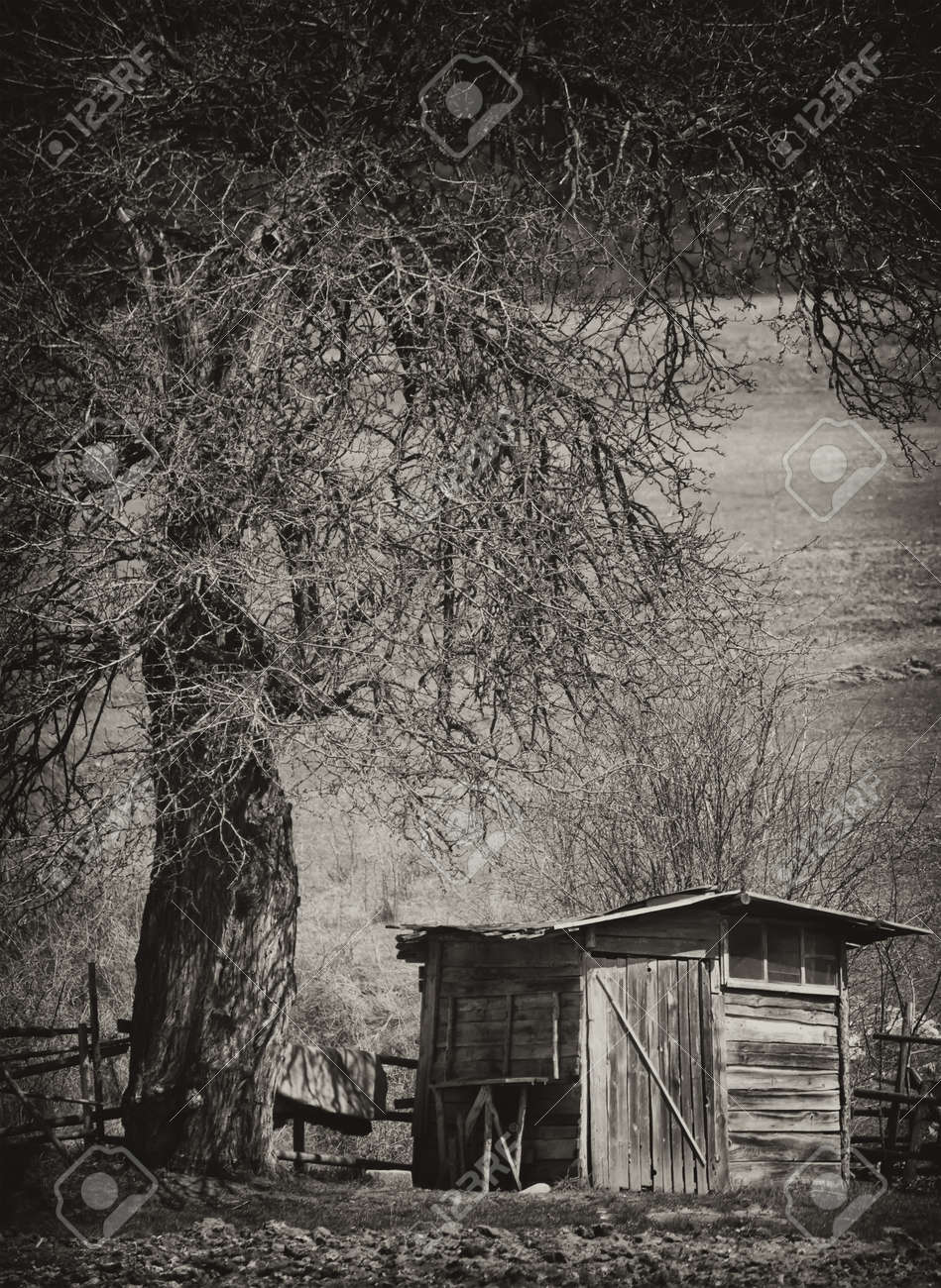 Vintage Spooky Background With Old Creepy Tree And Wooden House